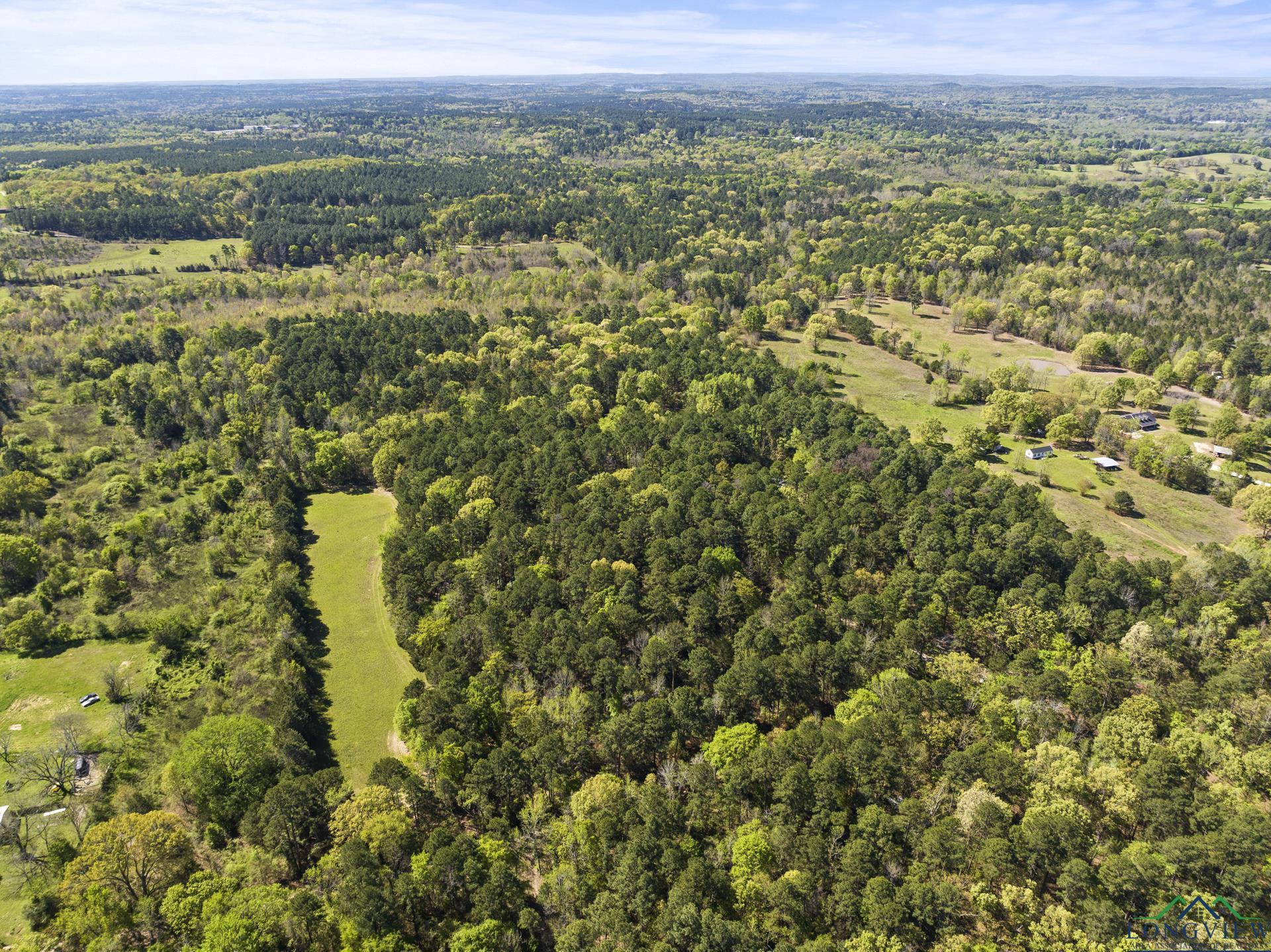 760 County Road 4112, Daingerfield, Texas image 4