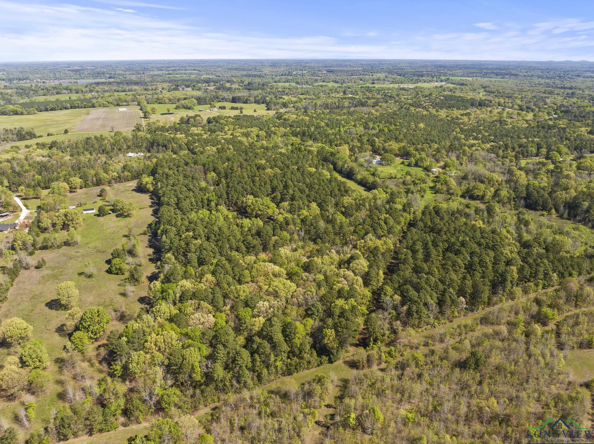 760 County Road 4112, Daingerfield, Texas image 6