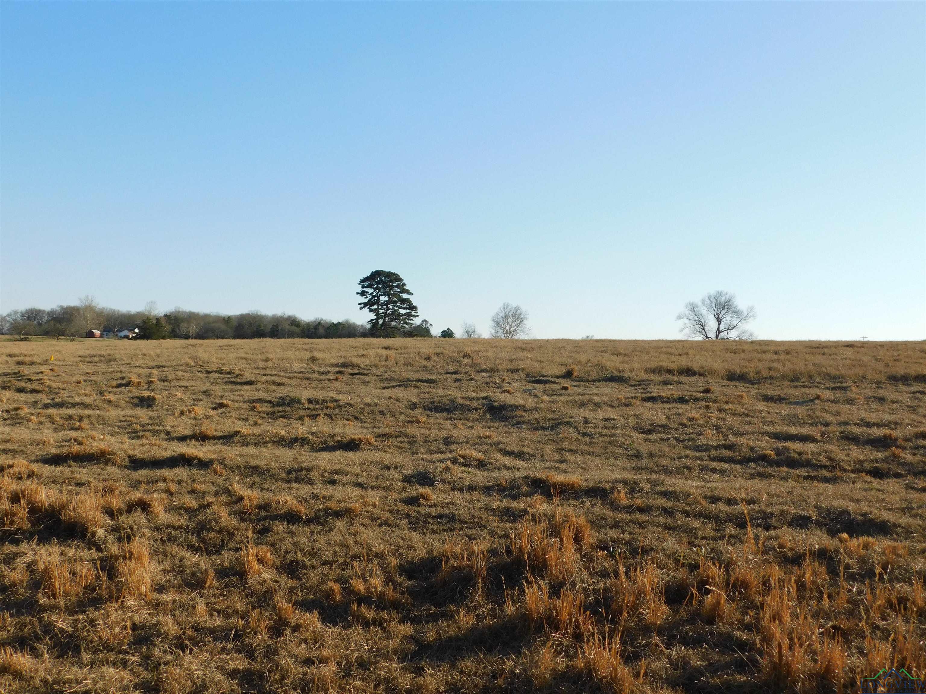 TBD Cr 3211, Pittsburg, Texas image 3