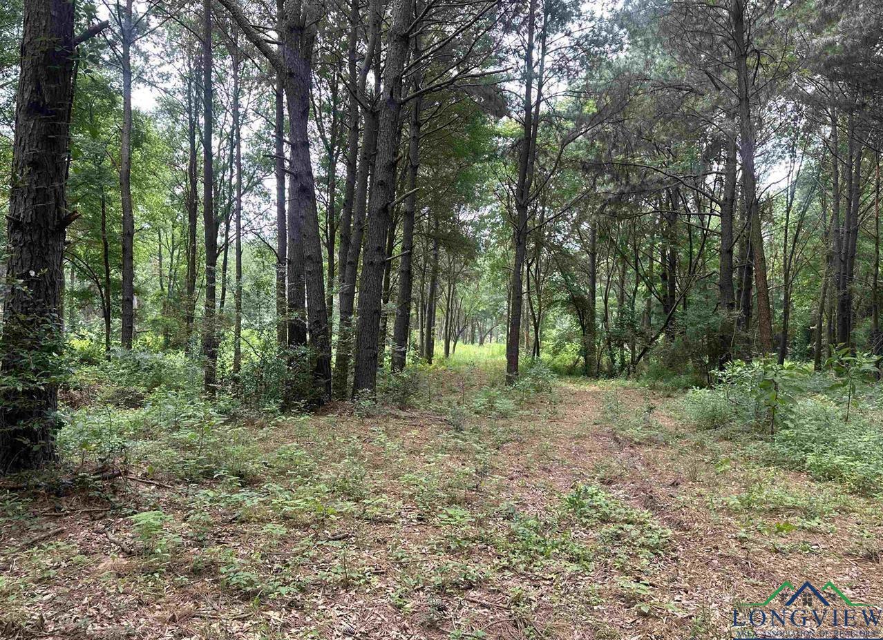 X Fm 3042, Pittsburg, Texas image 1