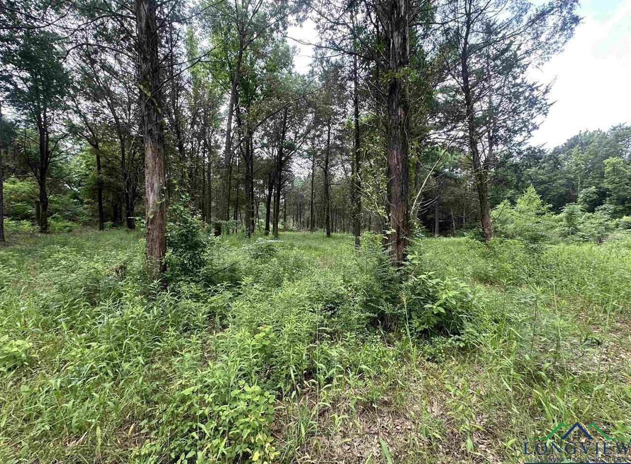 X Fm 3042, Pittsburg, Texas image 7