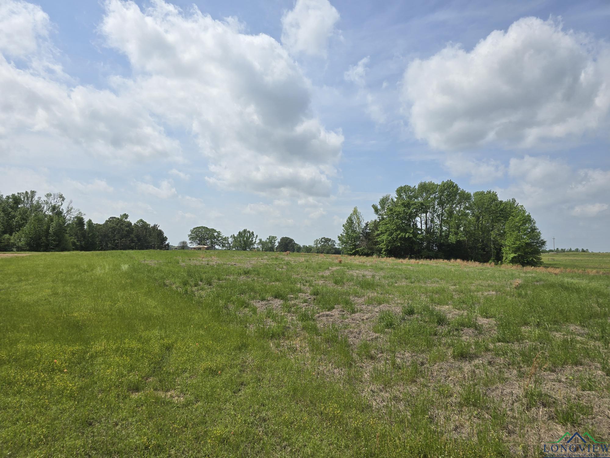 TBD Cr 4214, Naples, Texas image 7