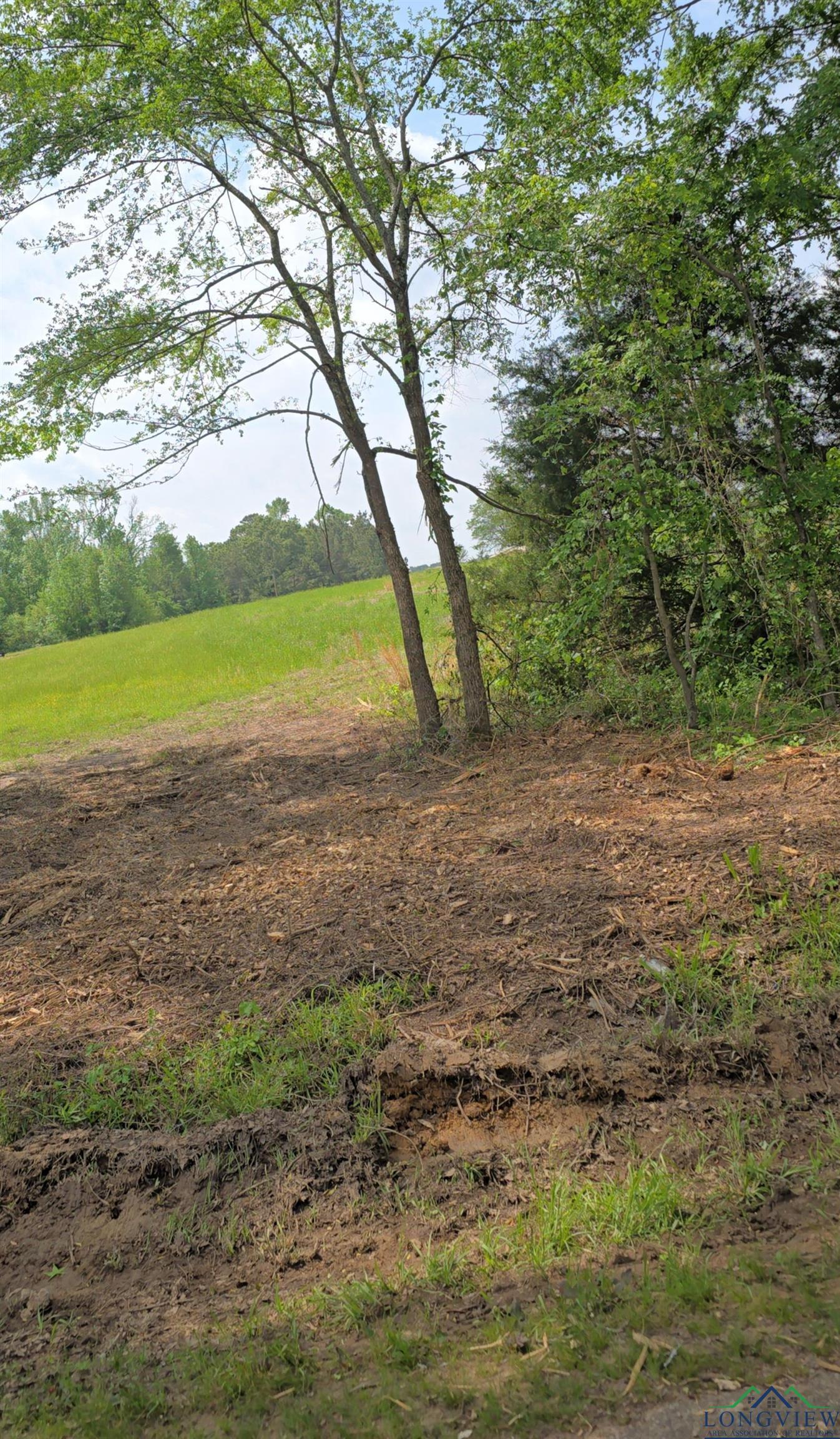 TBD Cr 4214, Naples, Texas image 2