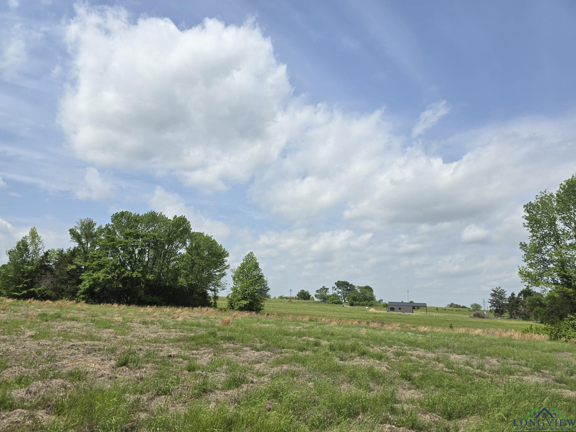 TBD Cr 4214, Naples, Texas image 9