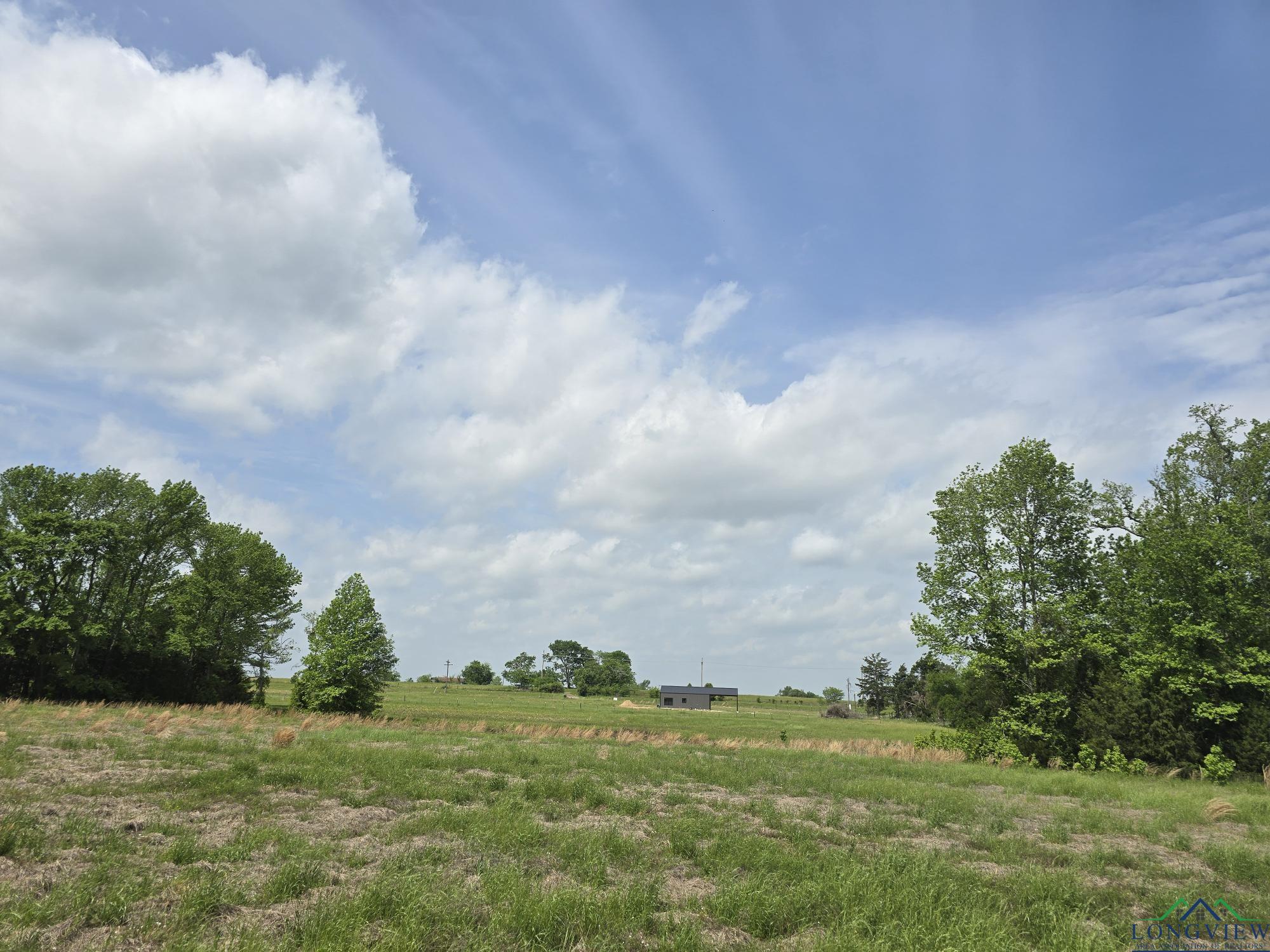 TBD Cr 4214, Naples, Texas image 8