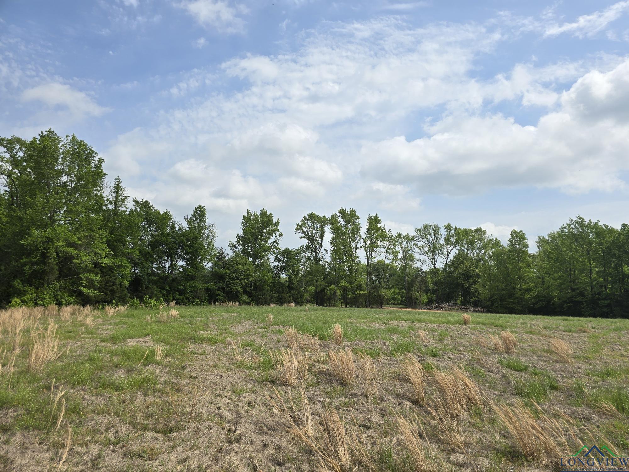 TBD Cr 4214, Naples, Texas image 11