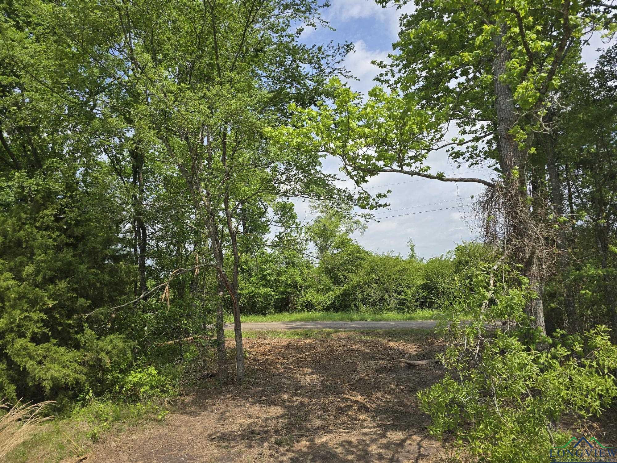 TBD Cr 4214, Naples, Texas image 3