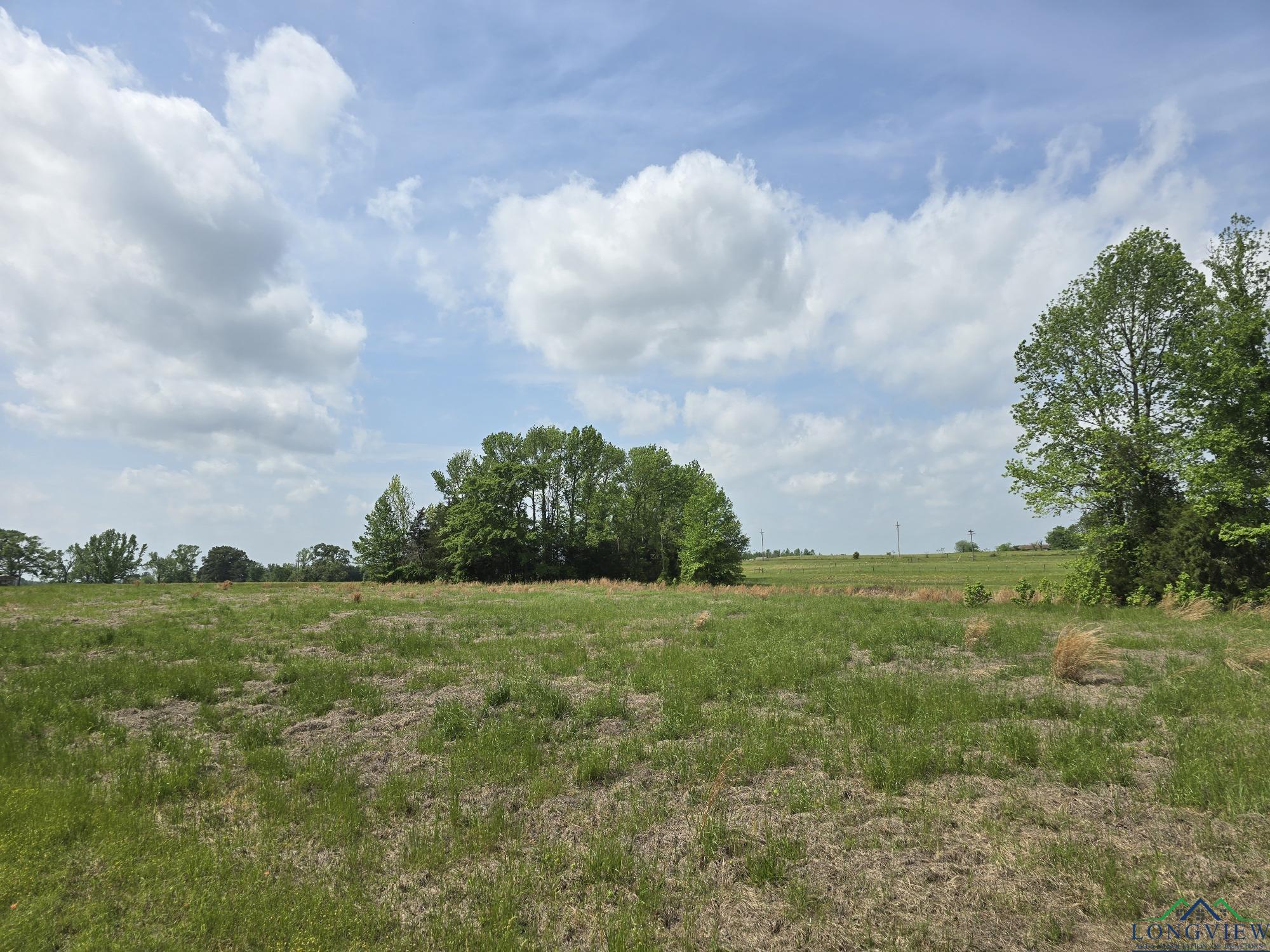 TBD Cr 4214, Naples, Texas image 6