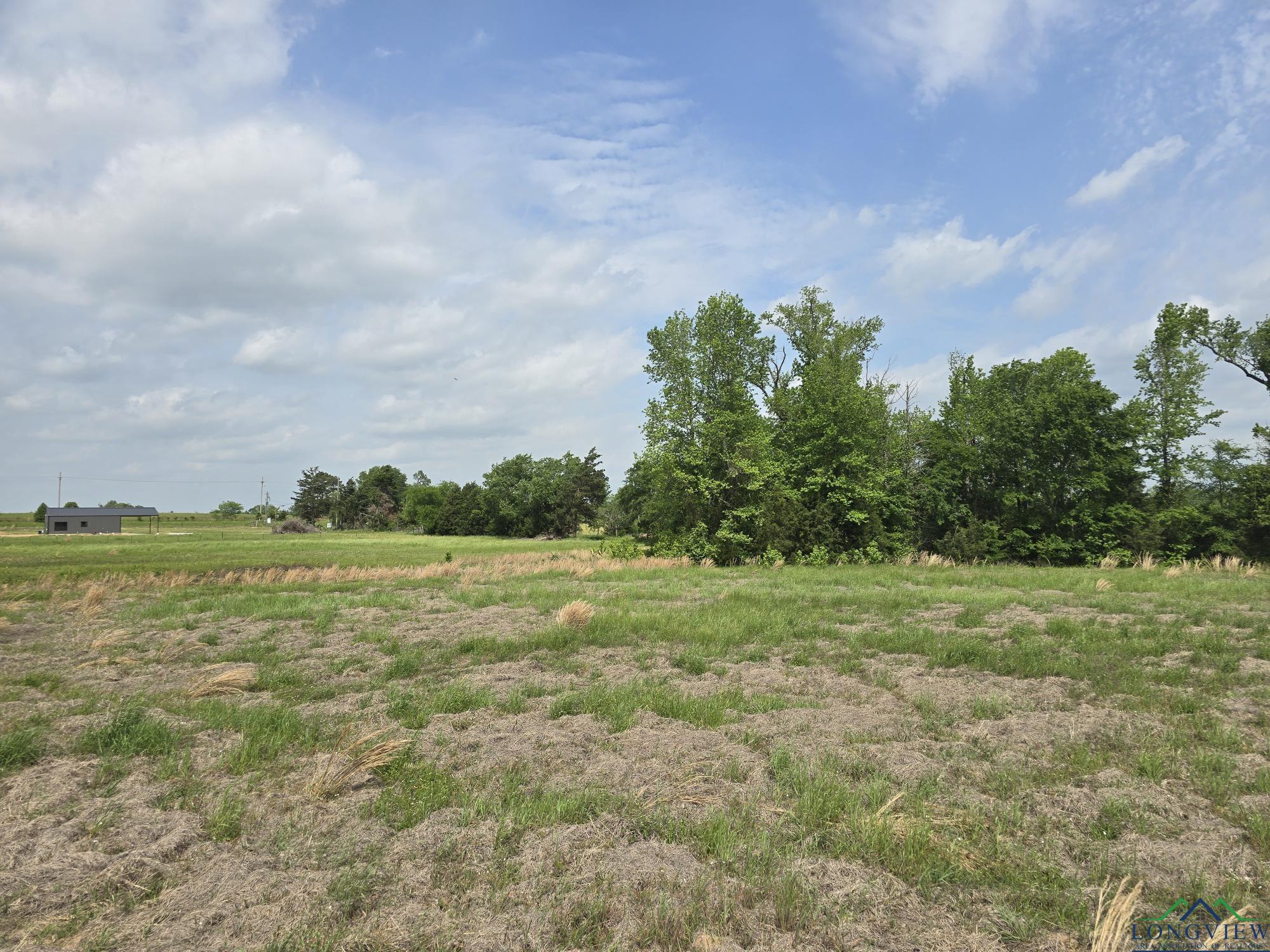 TBD Cr 4214, Naples, Texas image 10