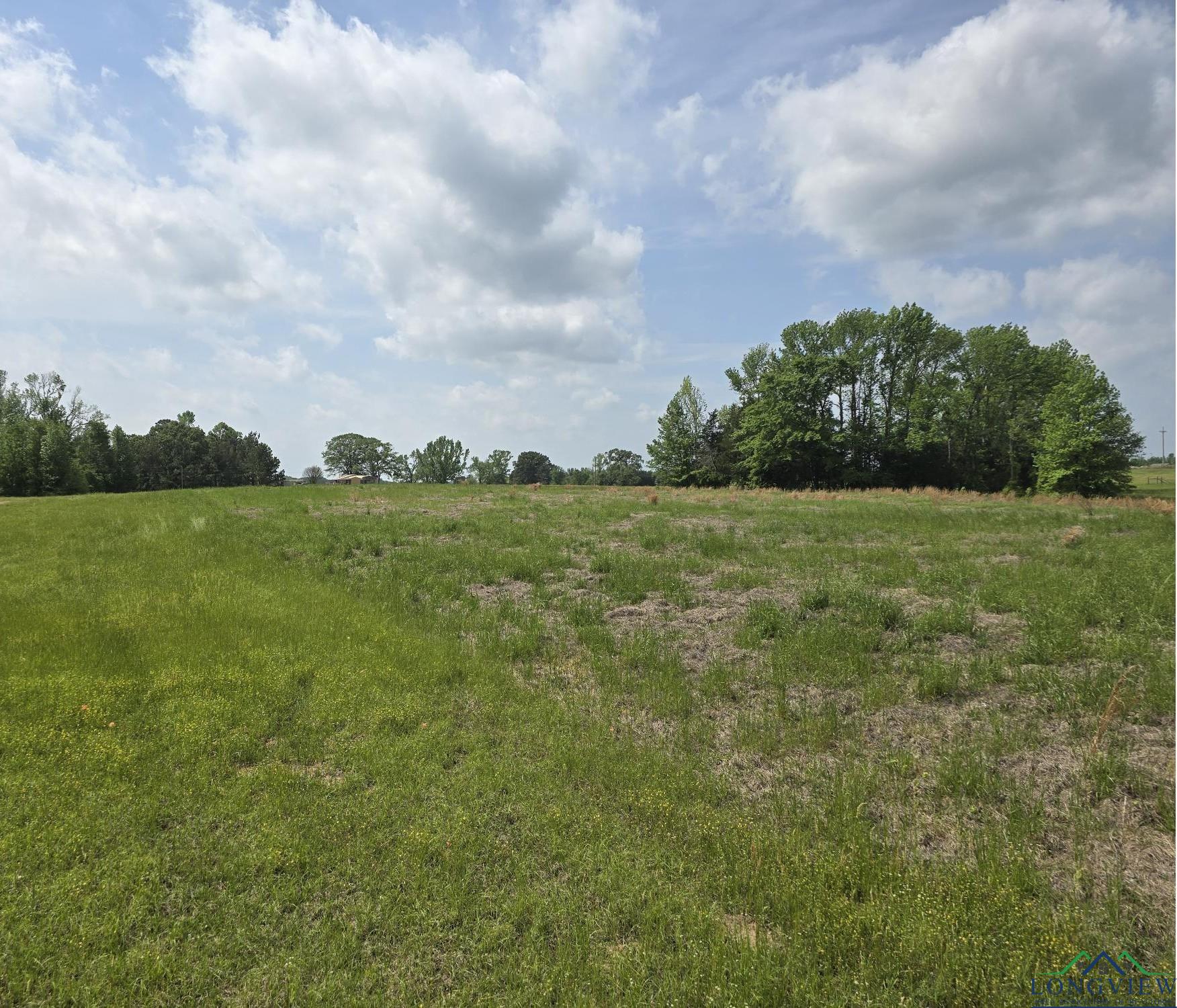 TBD Cr 4214, Naples, Texas image 1
