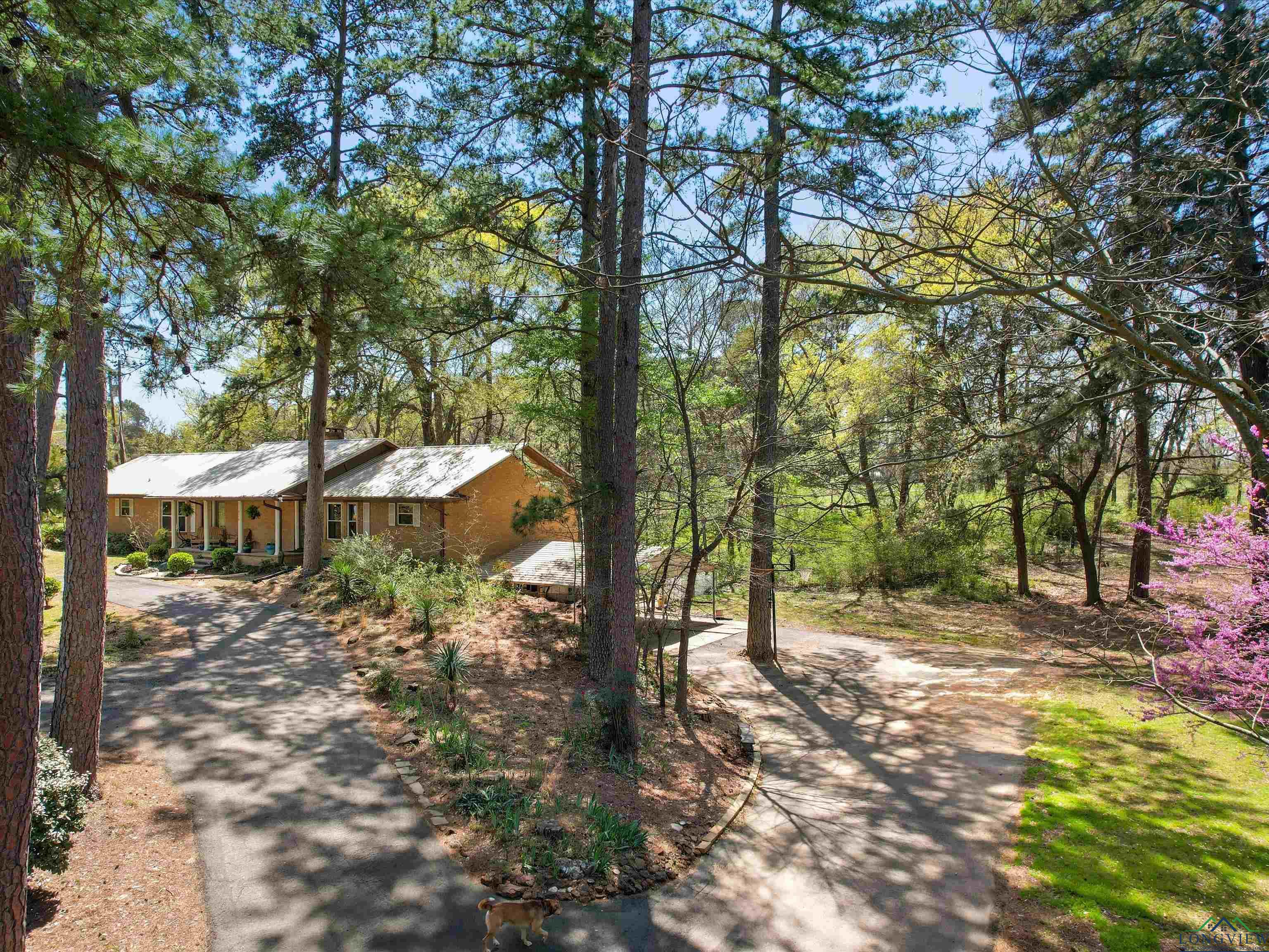 454 County Road 2234, Daingerfield, Texas image 7