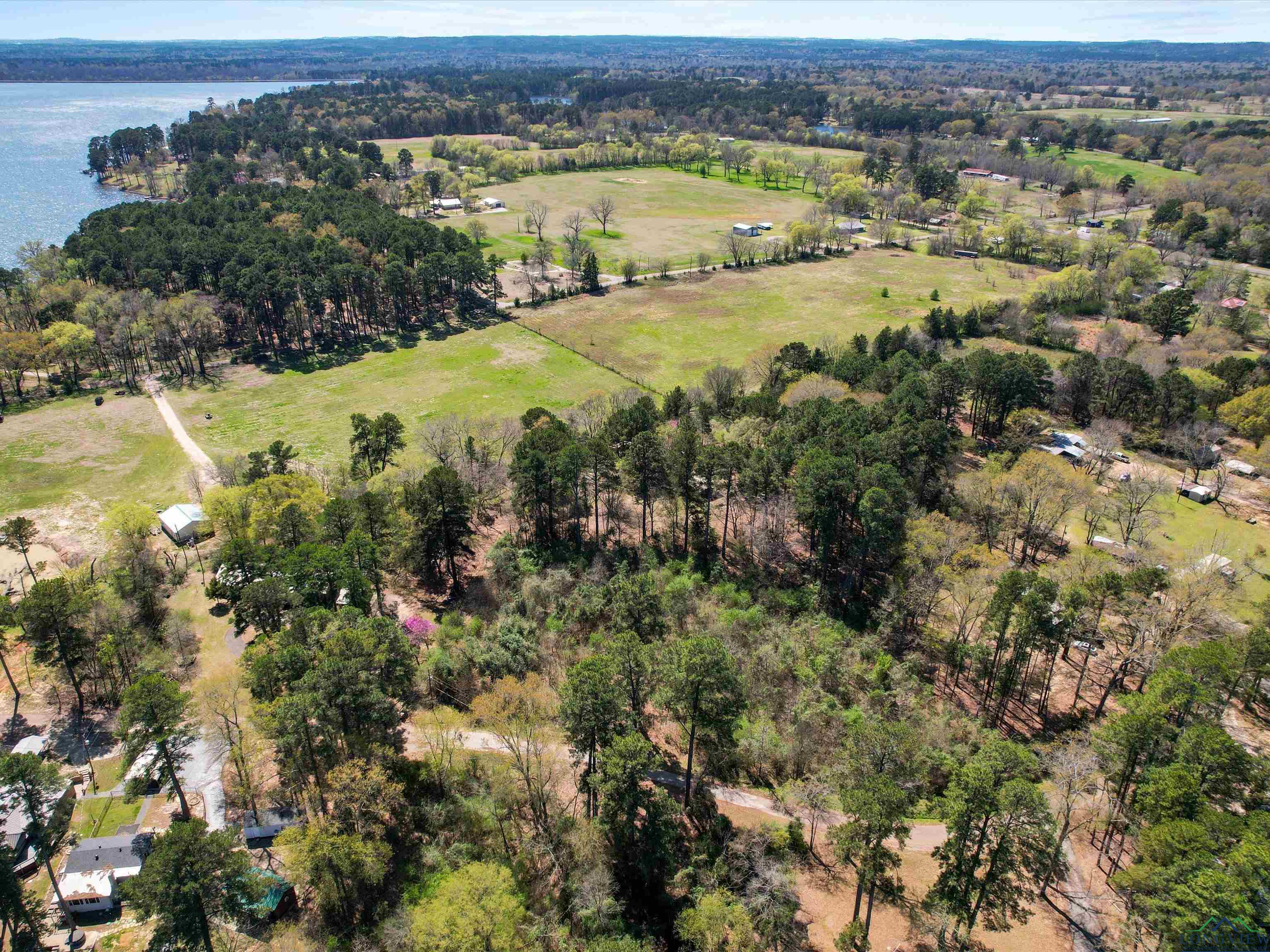 454 County Road 2234, Daingerfield, Texas image 5