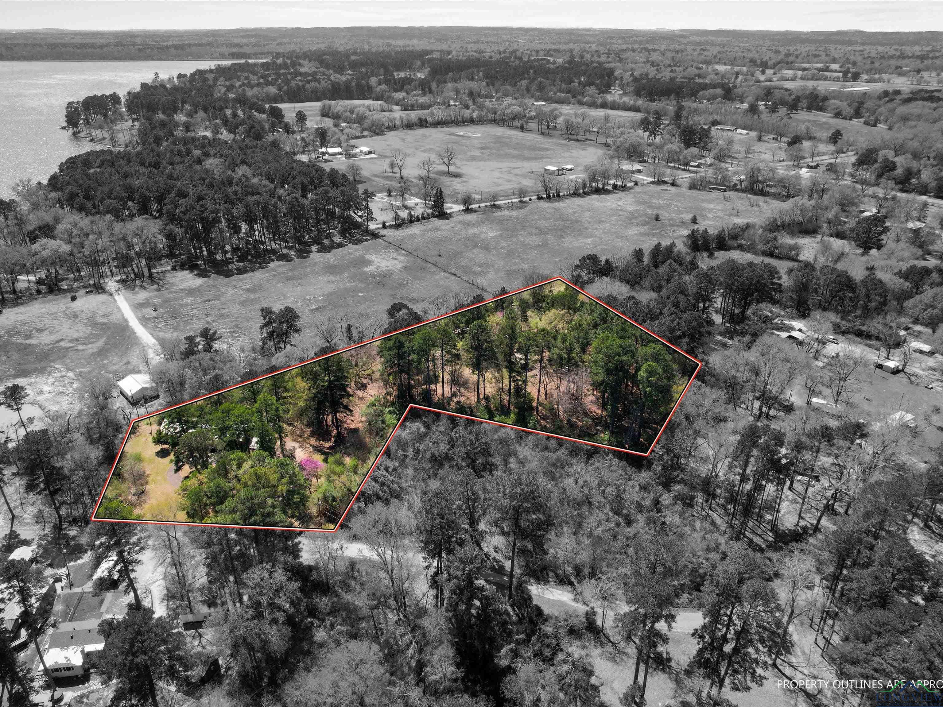 454 County Road 2234, Daingerfield, Texas image 3