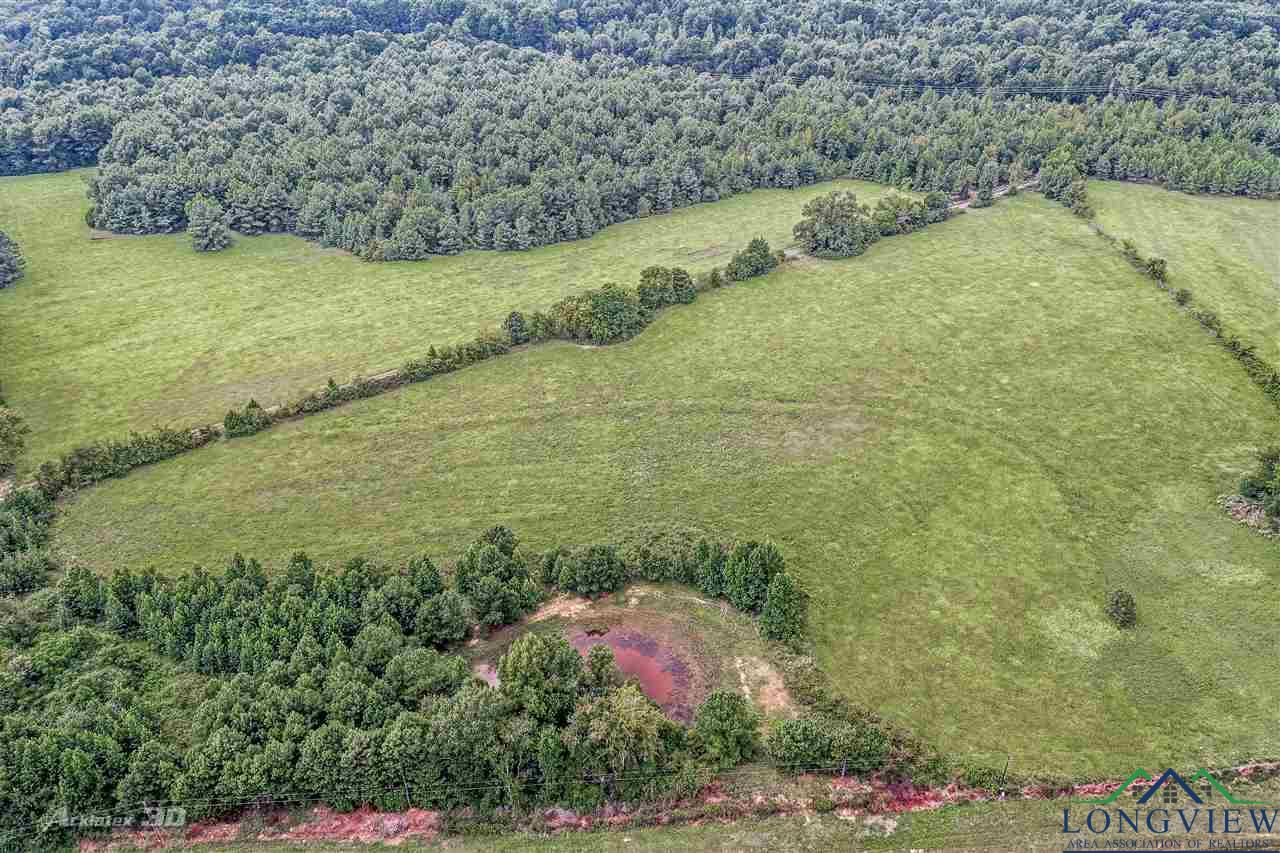 TBD Fm 3251, Hallsville, Texas image 6