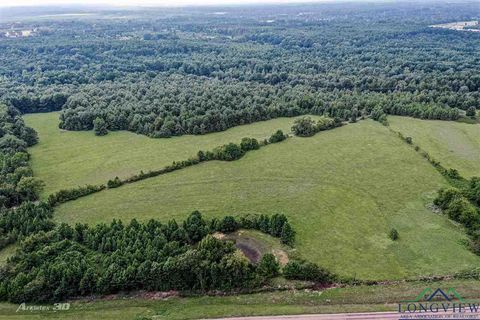 Vacant Land For Sale - TBD Fm 3251<br/> Hallsville, TX 75650