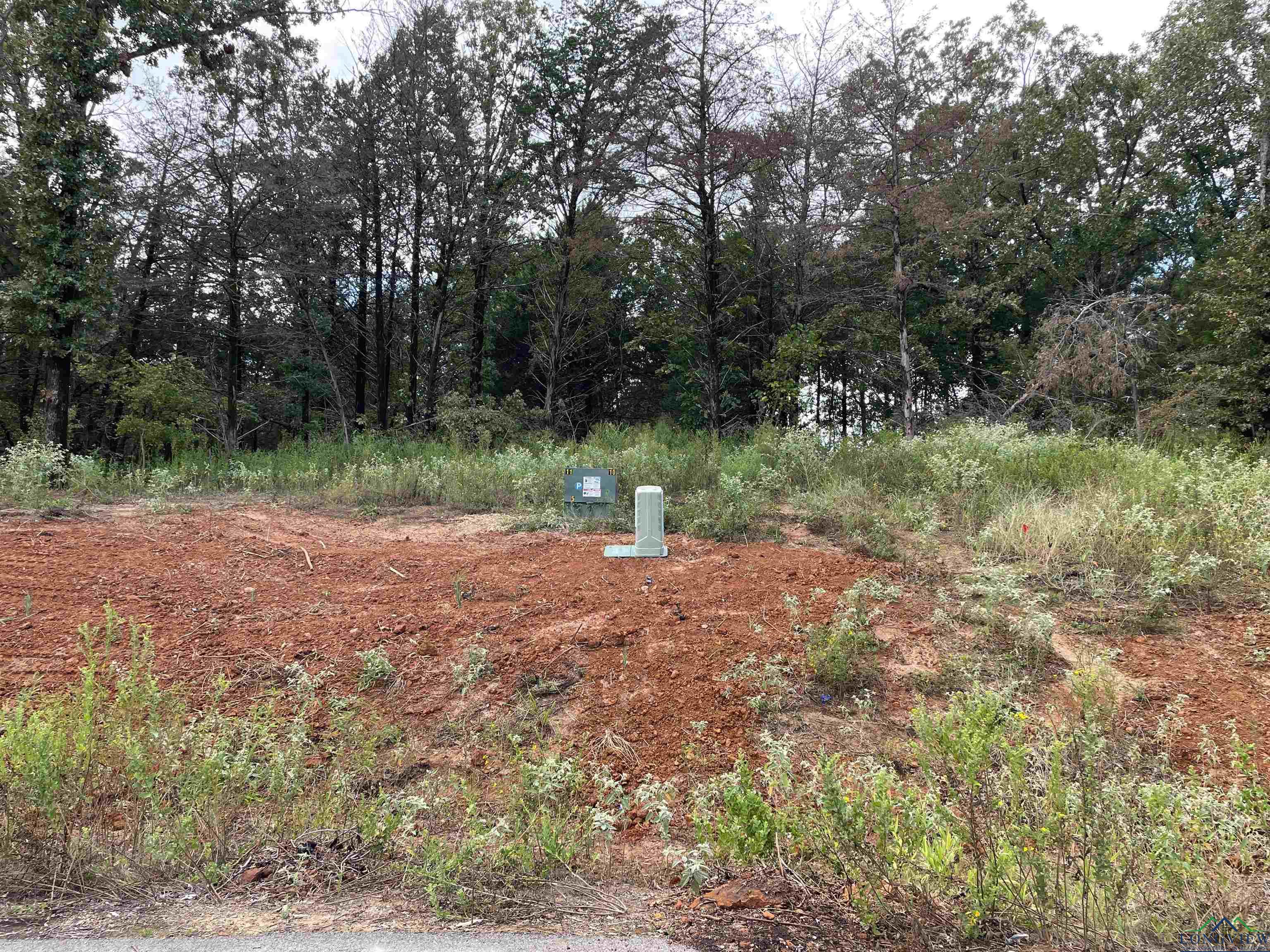 Tbd Cedarpark Place Lot 20, Lindale, Texas image 2