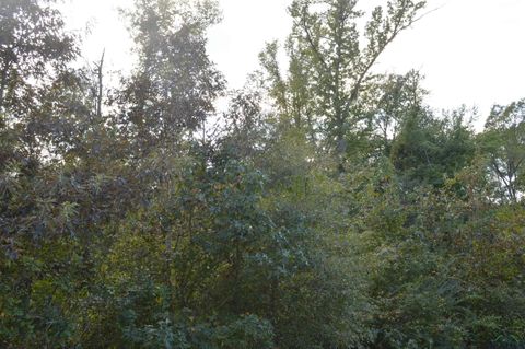 Vacant Land For Sale - TBD Hwty 49<br/> Jefferson, TX 75657