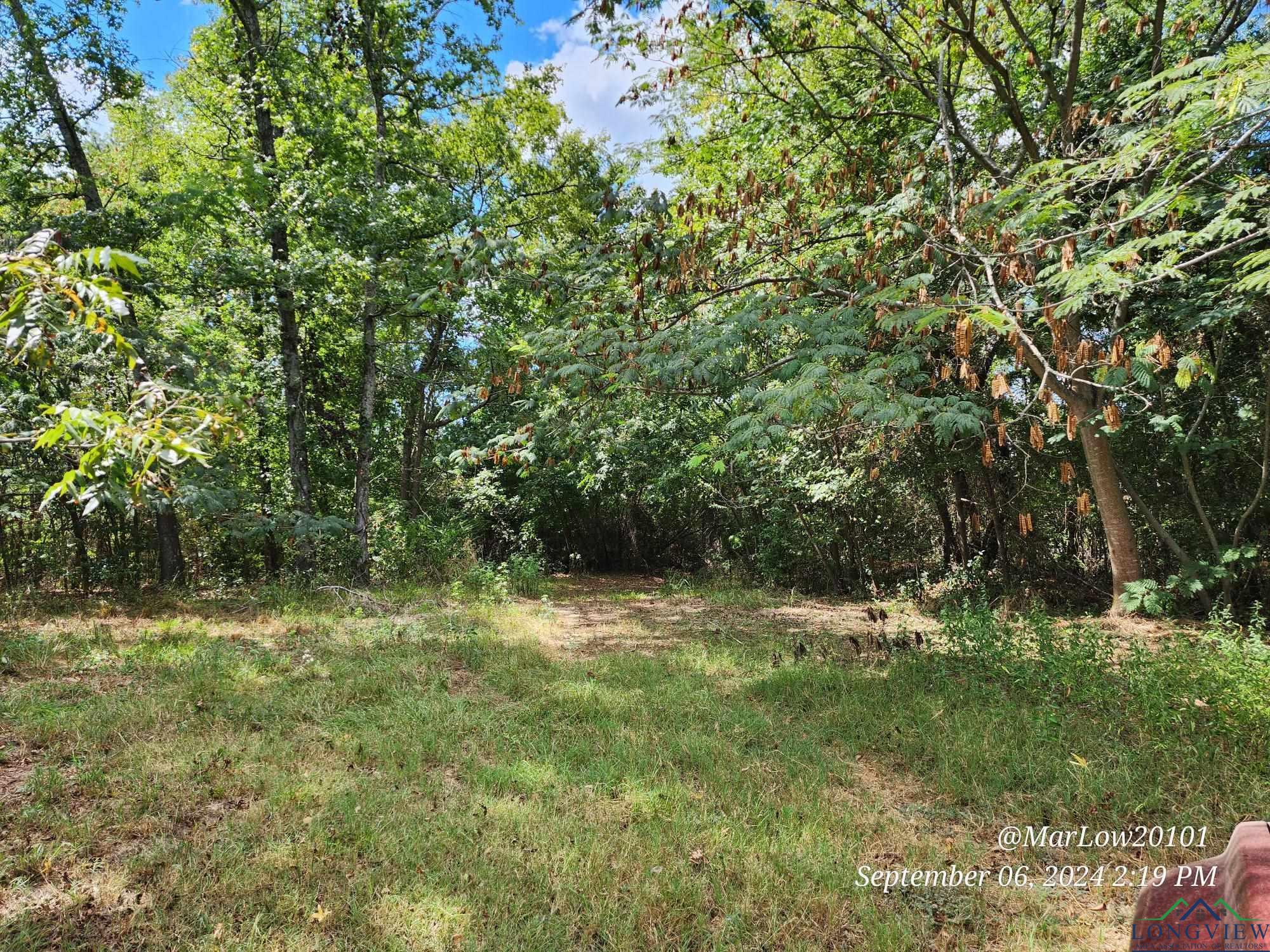 8311 W Sh 154, Gilmer, Texas image 4