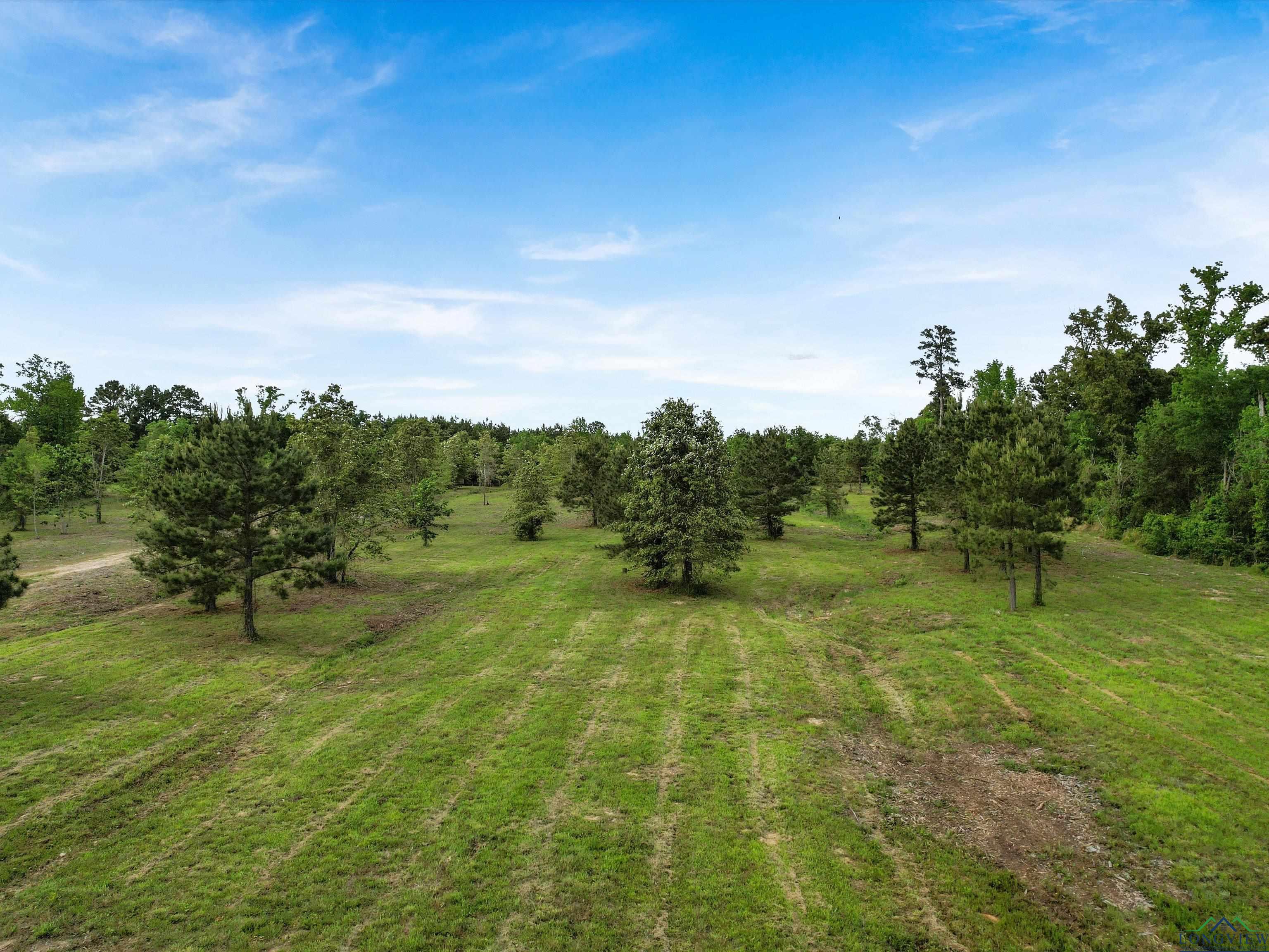 750 County Road 2866, Hughes Springs, Texas image 6