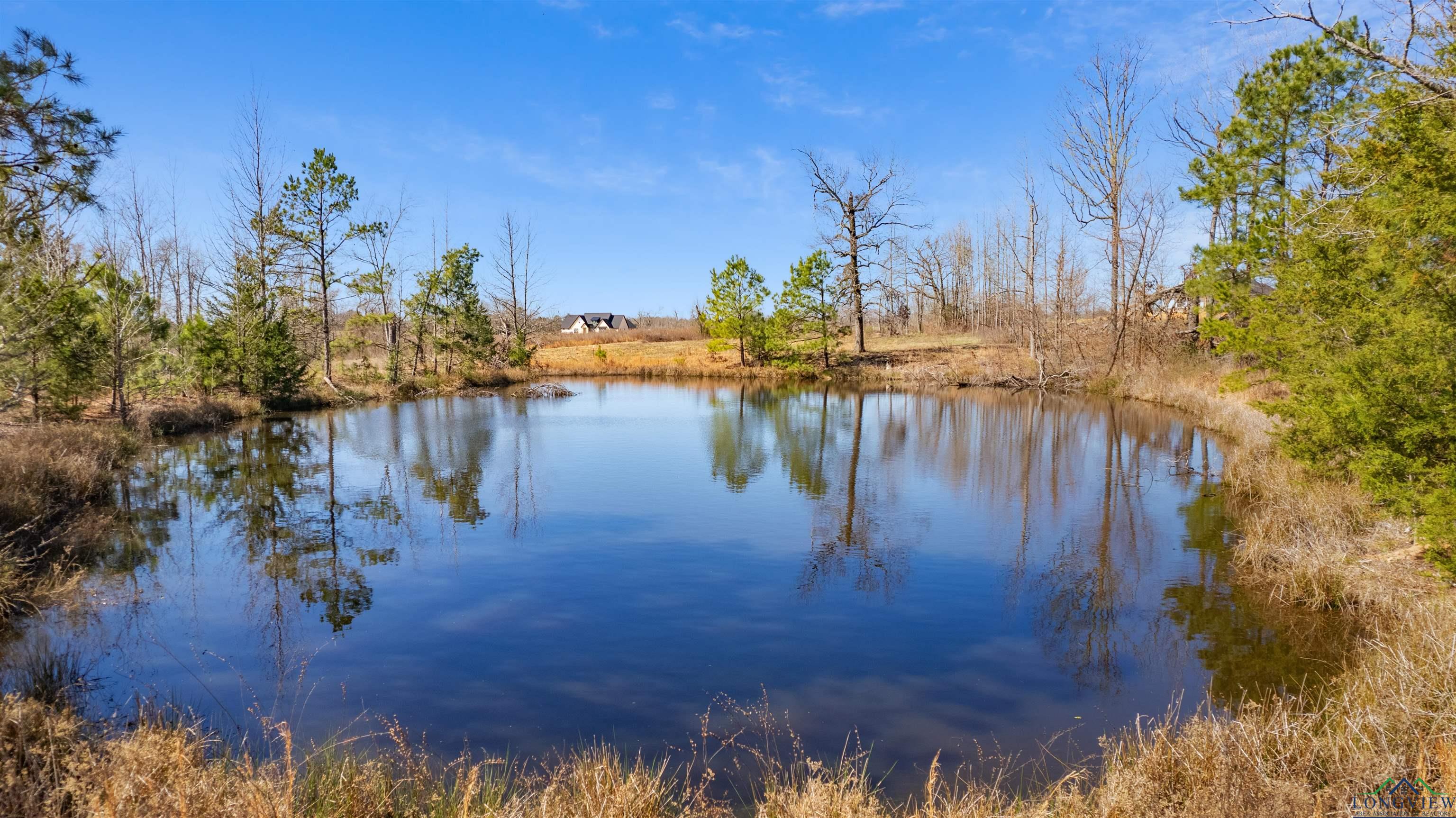 TBD Falcon View Dr, Diana, Texas image 4