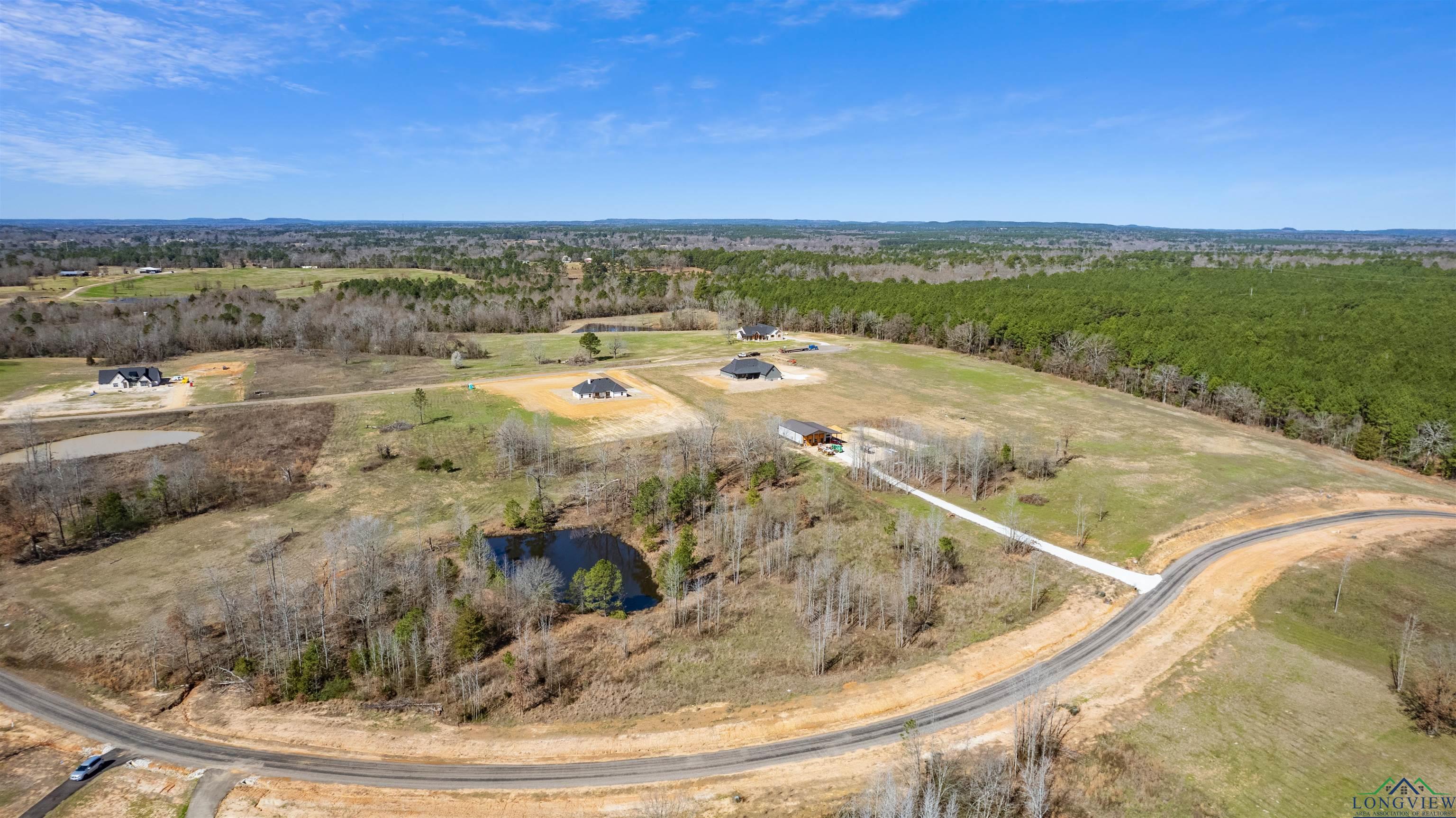 TBD Falcon View Dr, Diana, Texas image 7