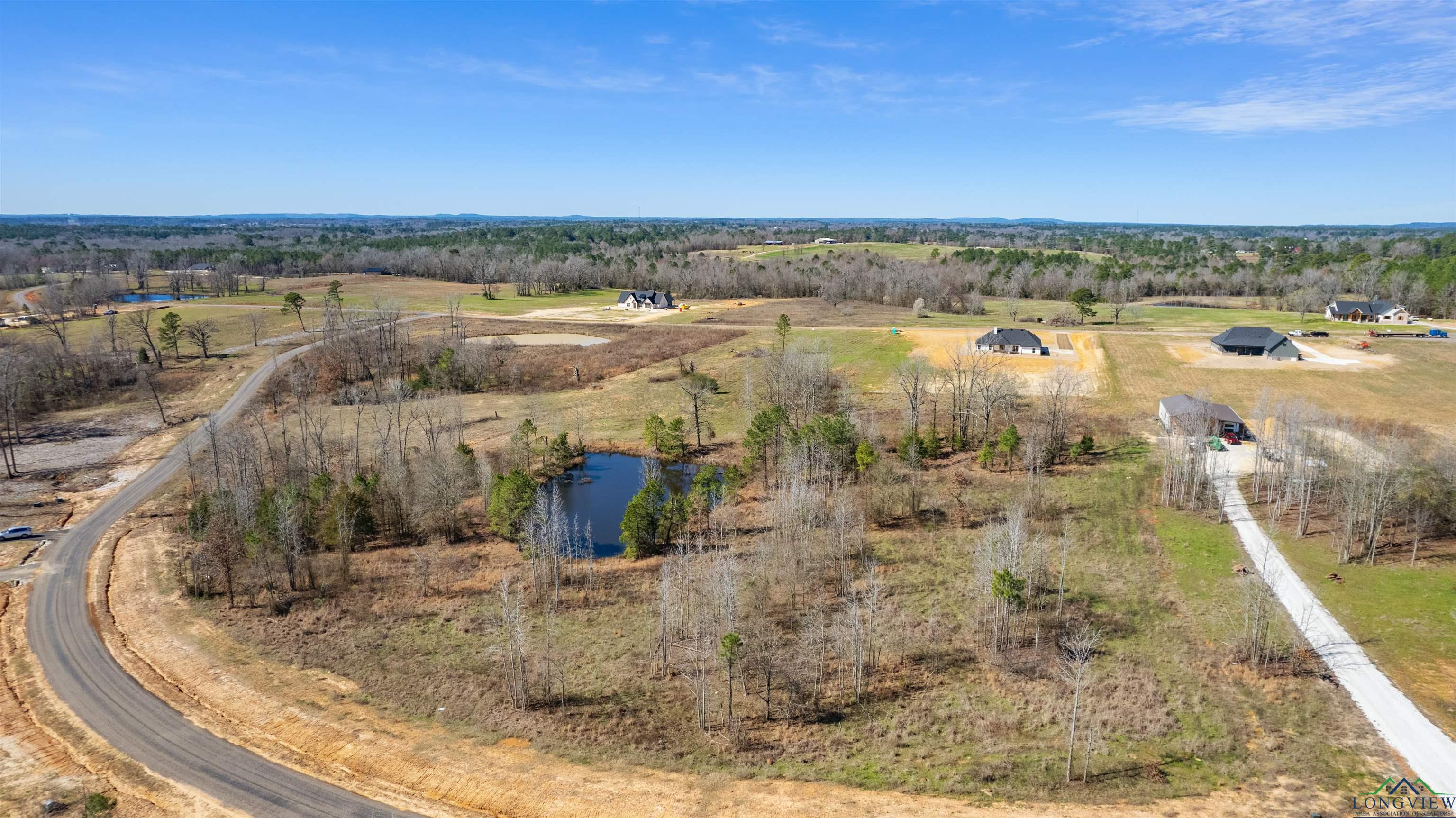 TBD Falcon View Dr, Diana, Texas image 8