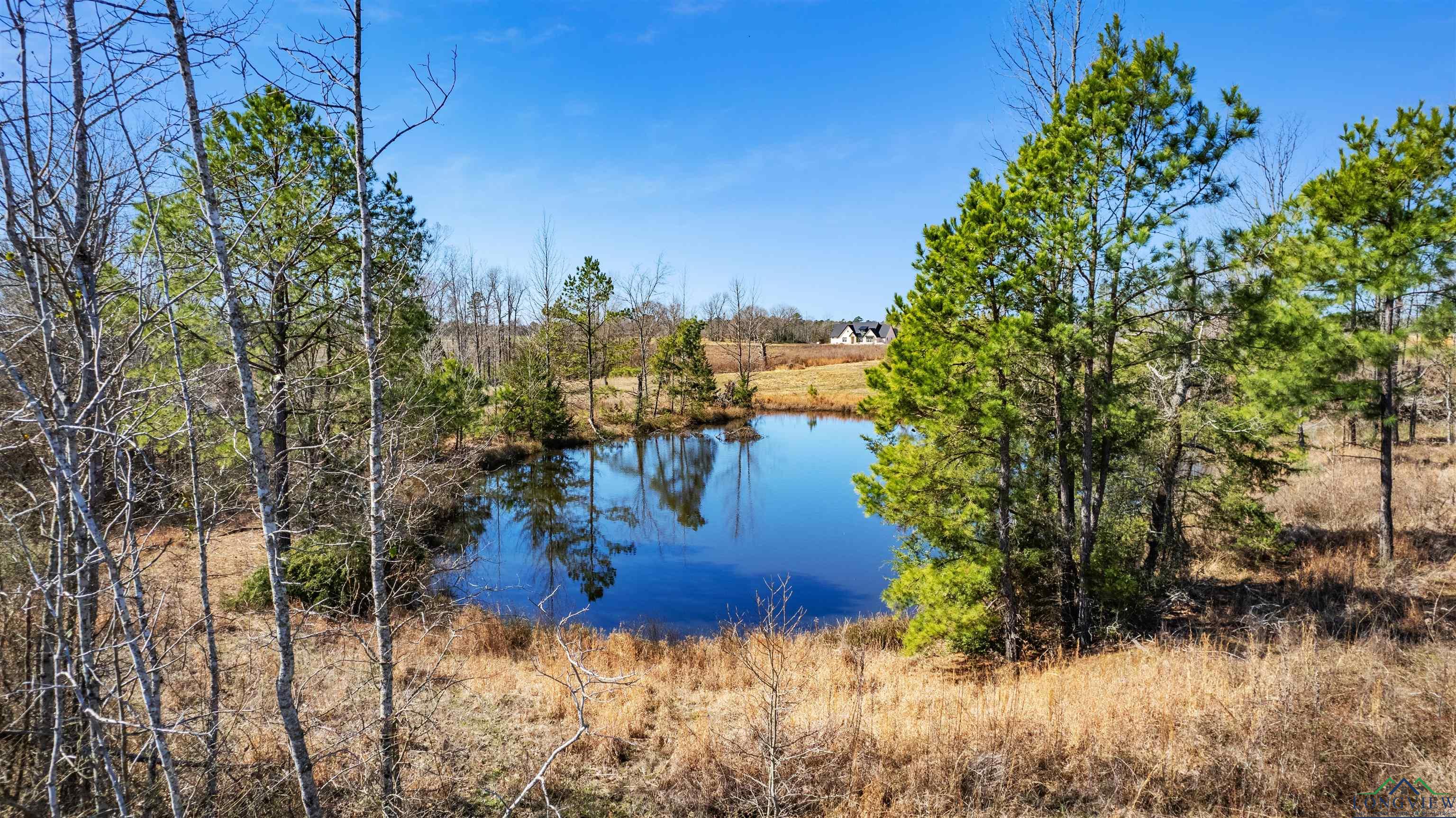 TBD Falcon View Dr, Diana, Texas image 1