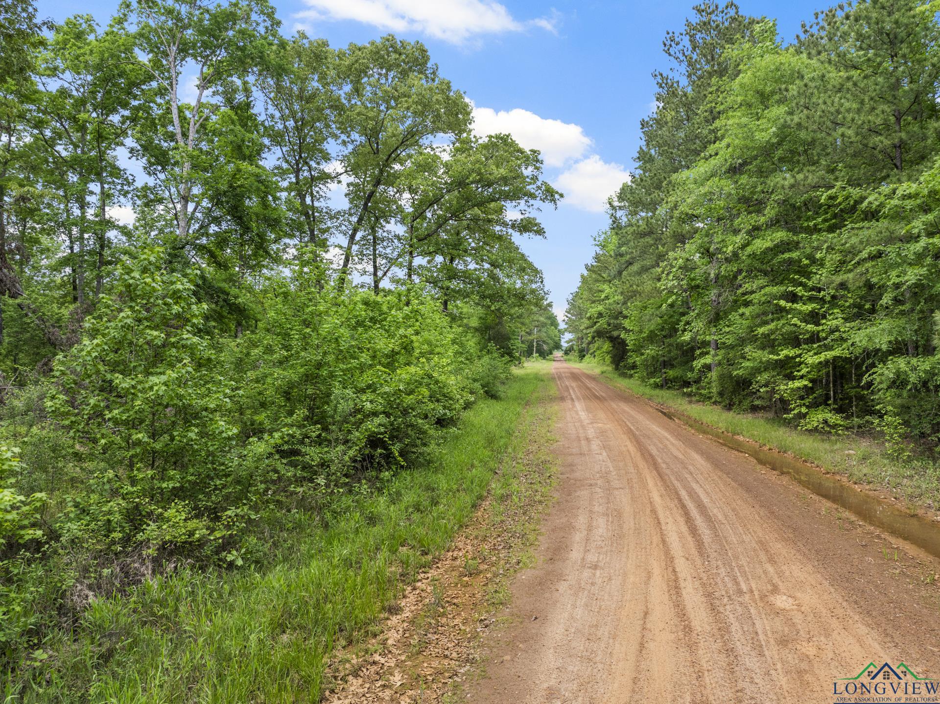 TBD County Road 2918, Hughes Springs, Texas image 20