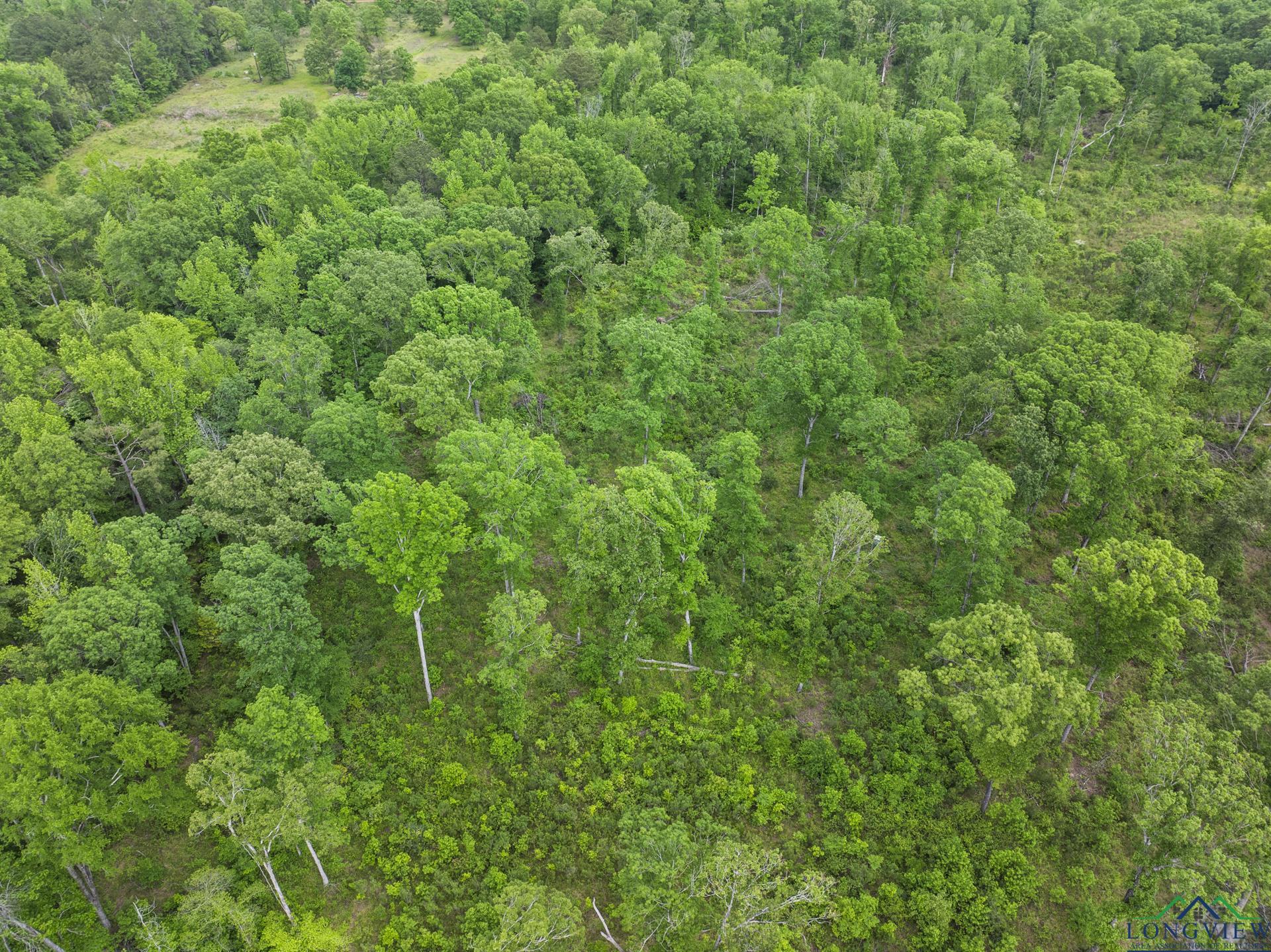 TBD County Road 2918, Hughes Springs, Texas image 9