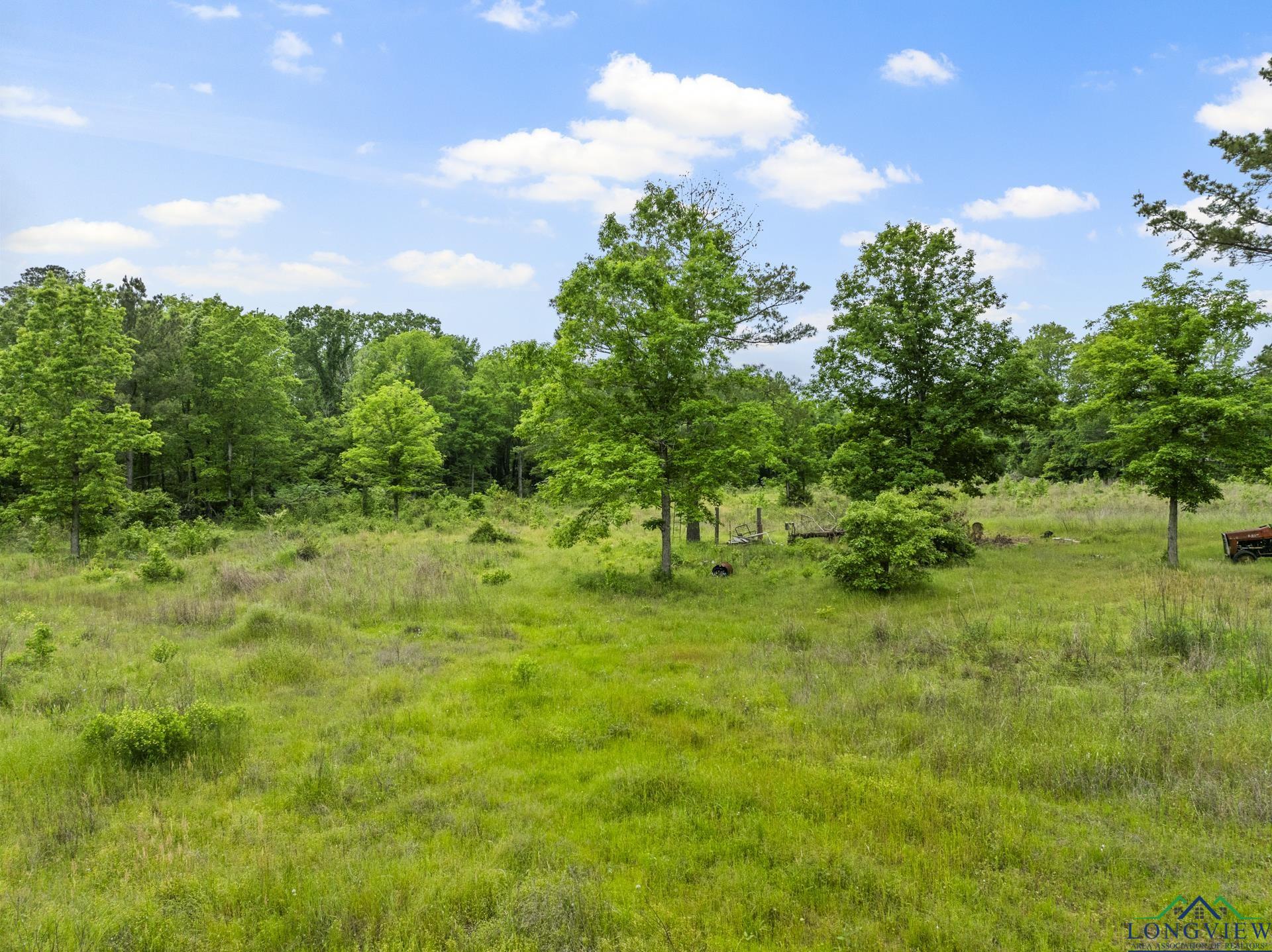 TBD County Road 2918, Hughes Springs, Texas image 14