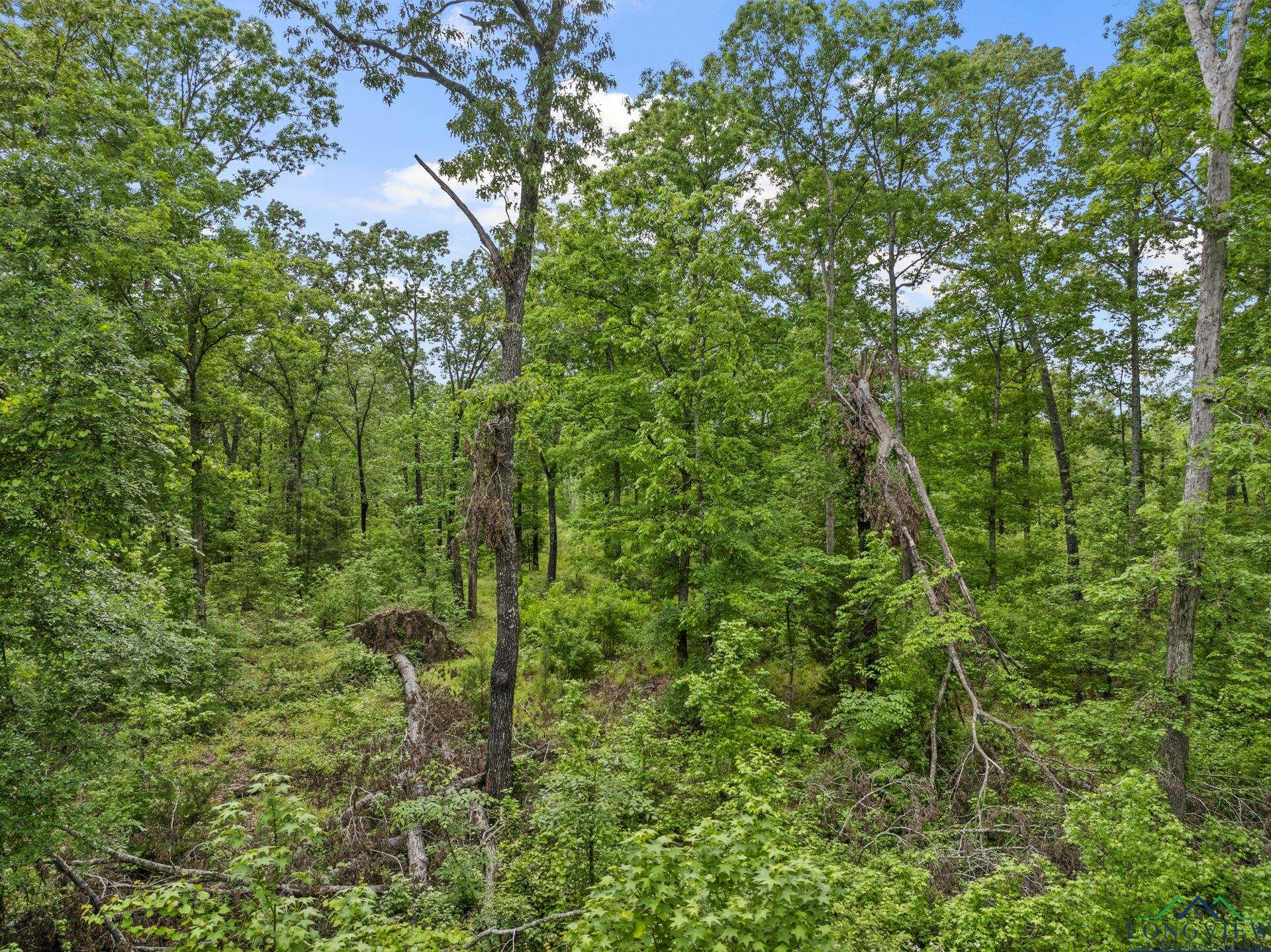 TBD County Road 2918, Hughes Springs, Texas image 13