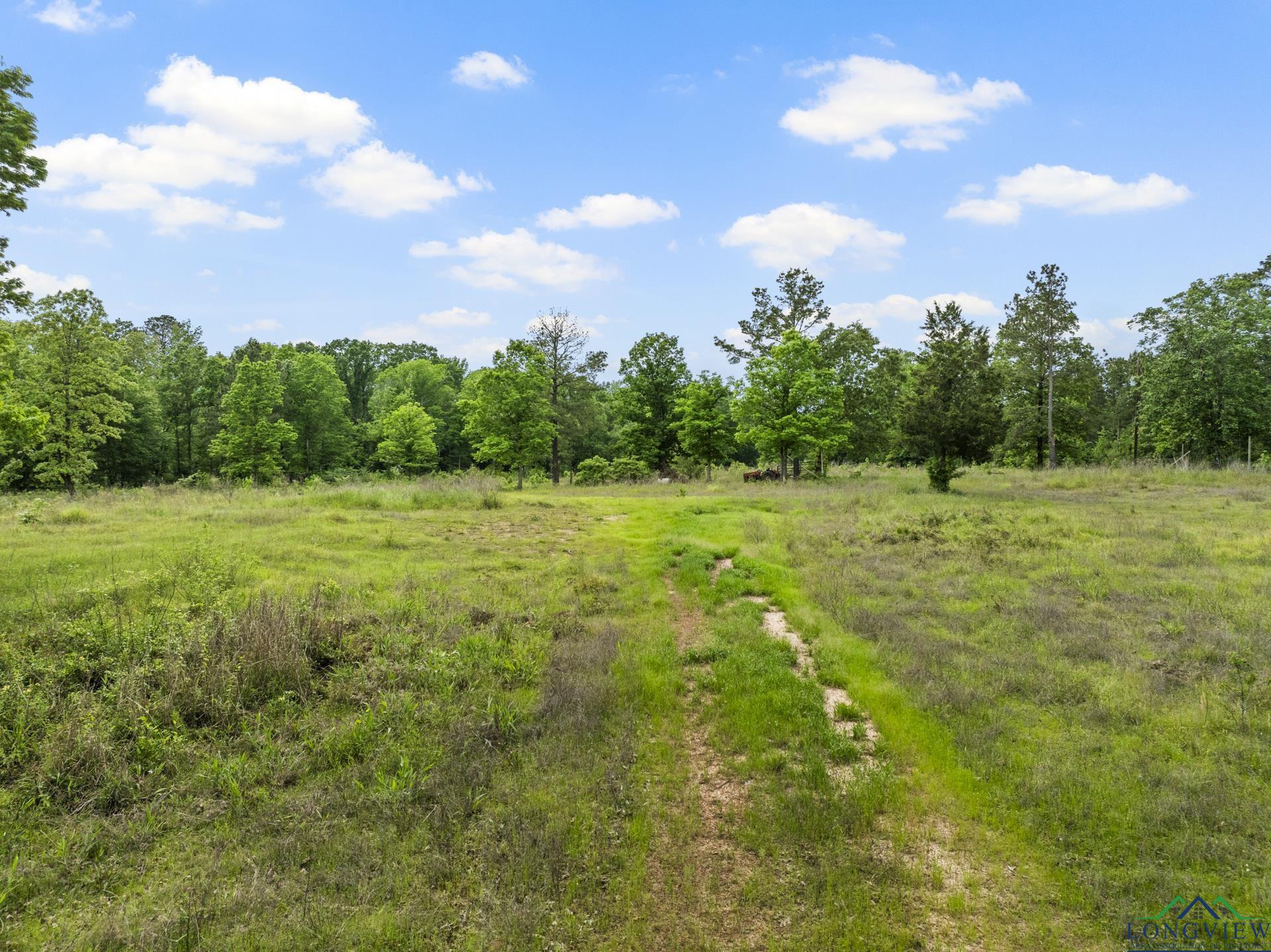 TBD County Road 2918, Hughes Springs, Texas image 17