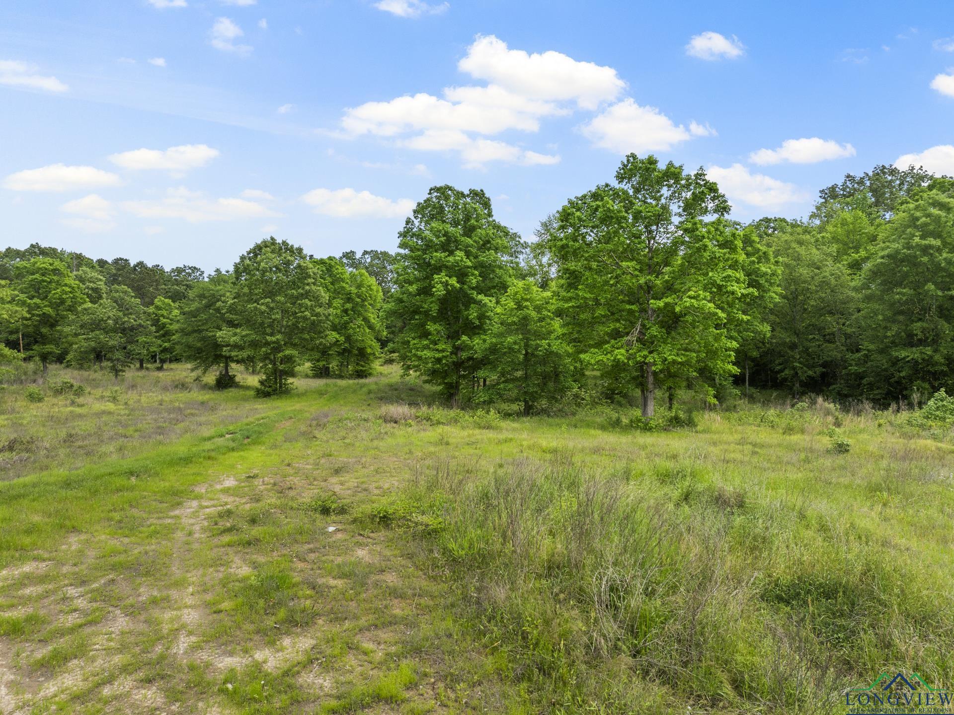 TBD County Road 2918, Hughes Springs, Texas image 15