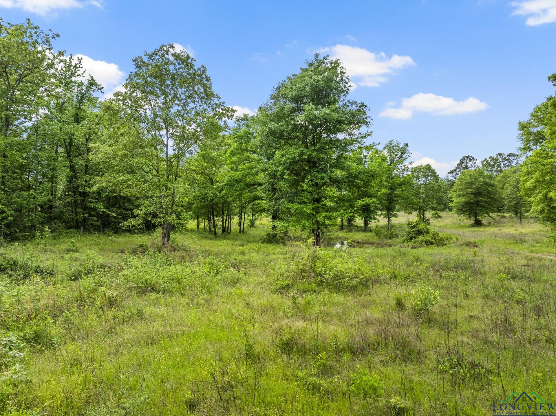 TBD County Road 2918, Hughes Springs, Texas image 12