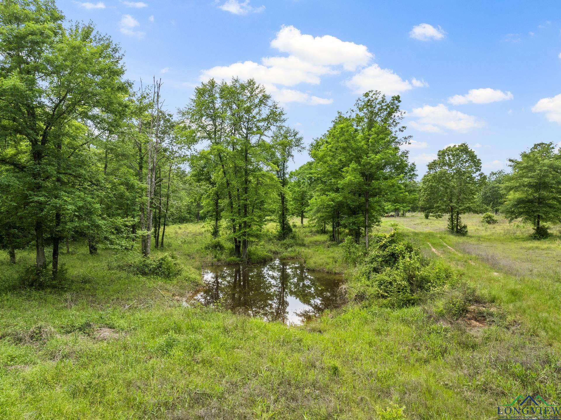 TBD County Road 2918, Hughes Springs, Texas image 11