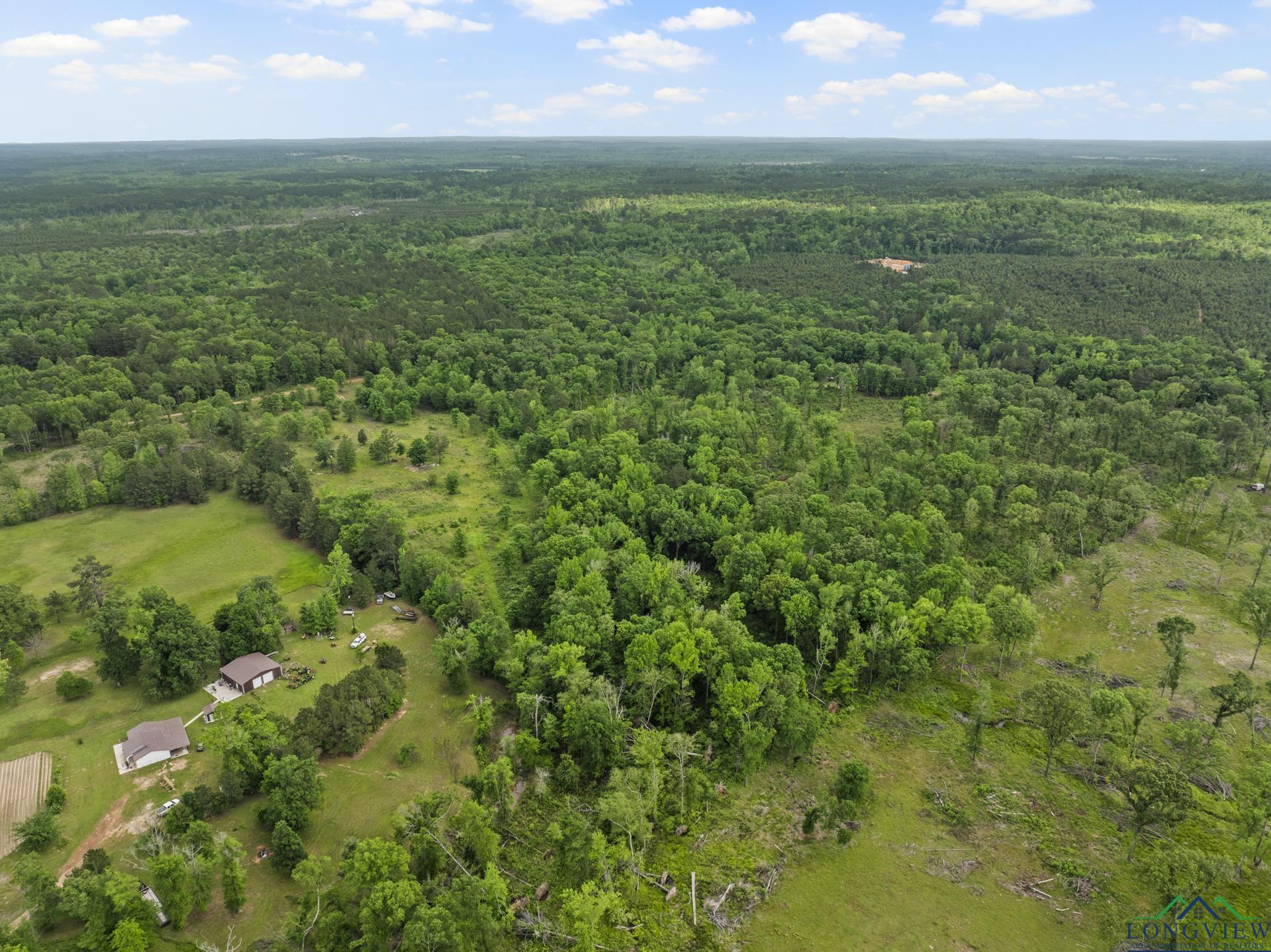 TBD County Road 2918, Hughes Springs, Texas image 6