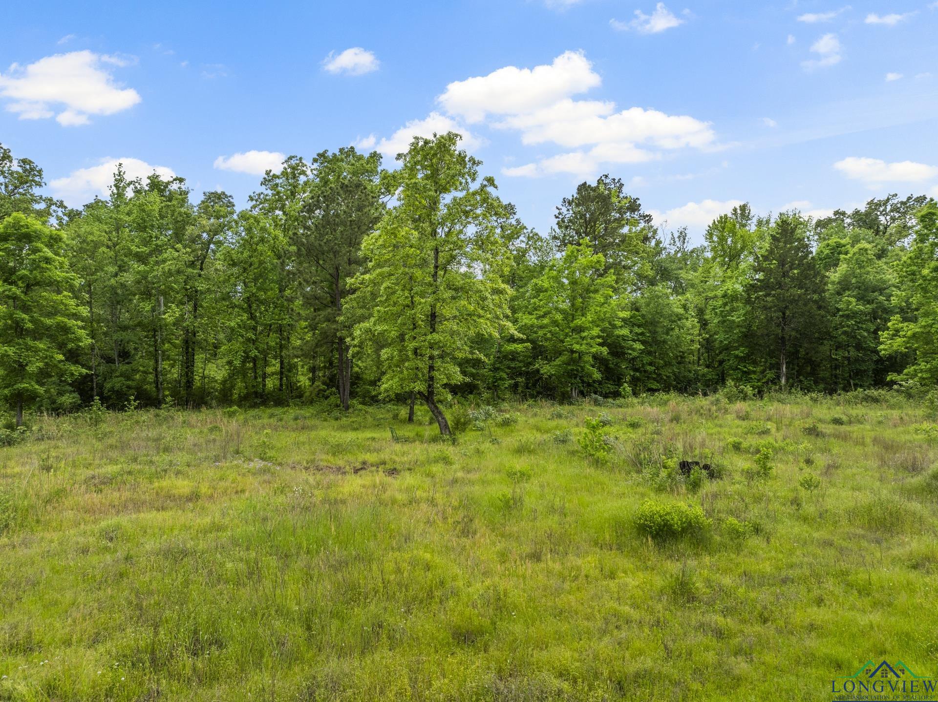 TBD County Road 2918, Hughes Springs, Texas image 16