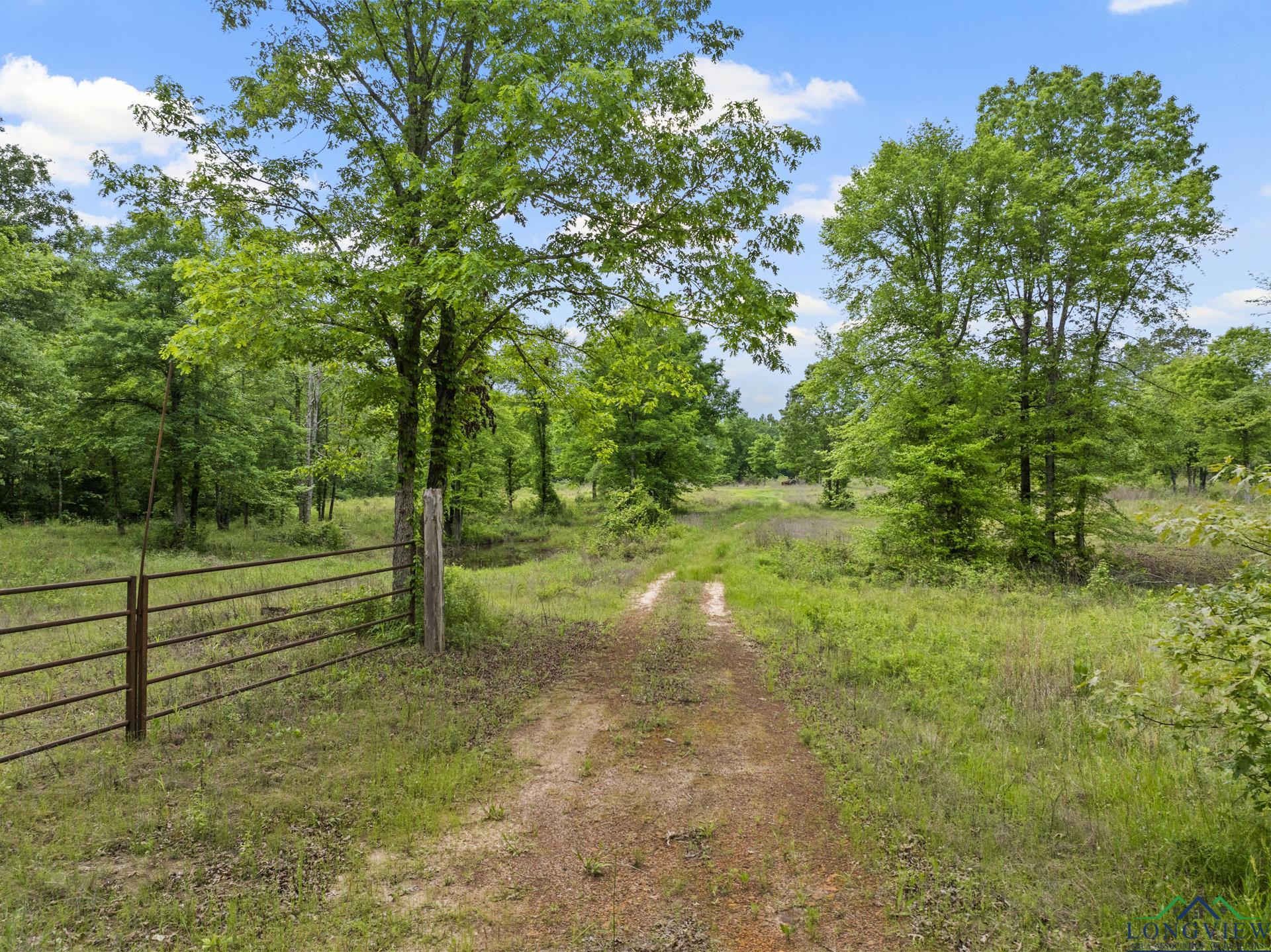 TBD County Road 2918, Hughes Springs, Texas image 18