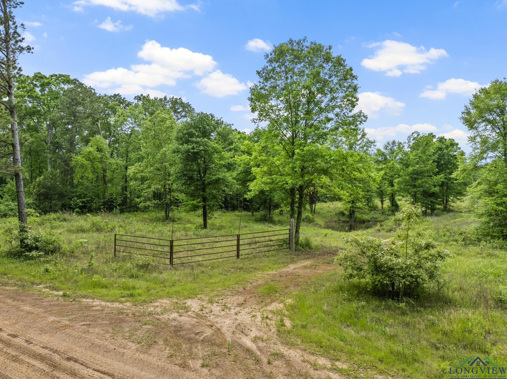 TBD County Road 2918, Hughes Springs, Texas image 19