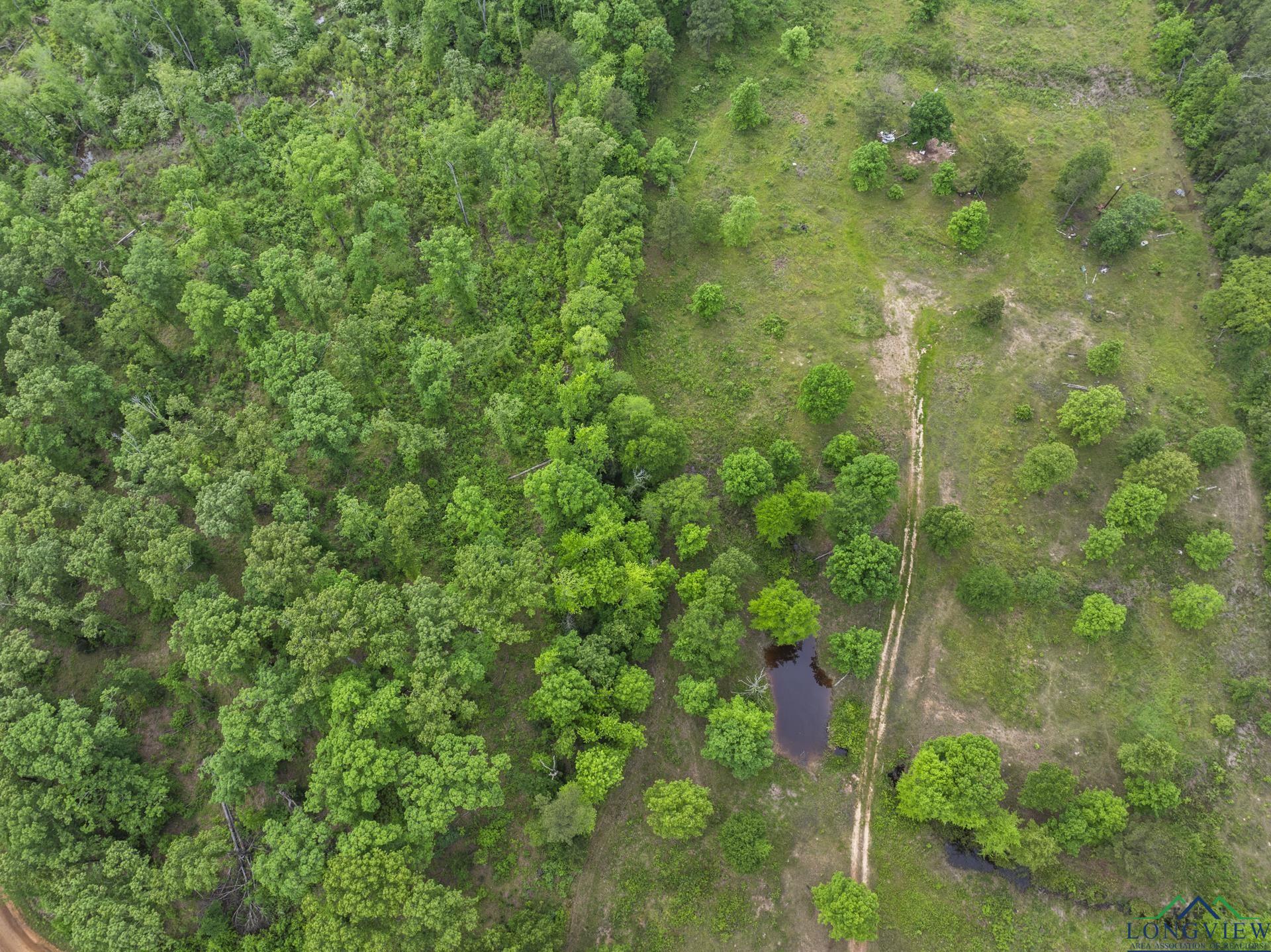 TBD County Road 2918, Hughes Springs, Texas image 10