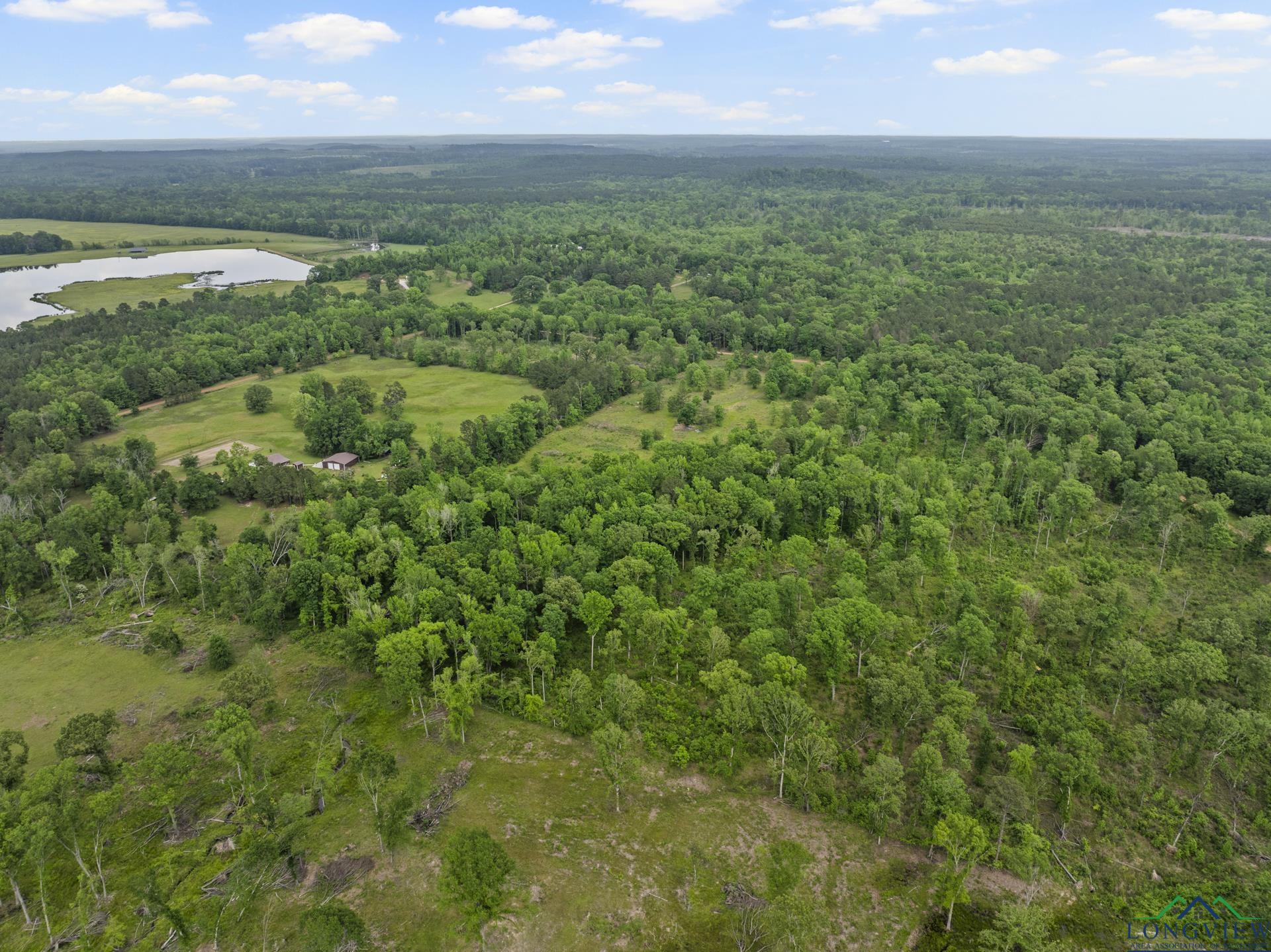 TBD County Road 2918, Hughes Springs, Texas image 5