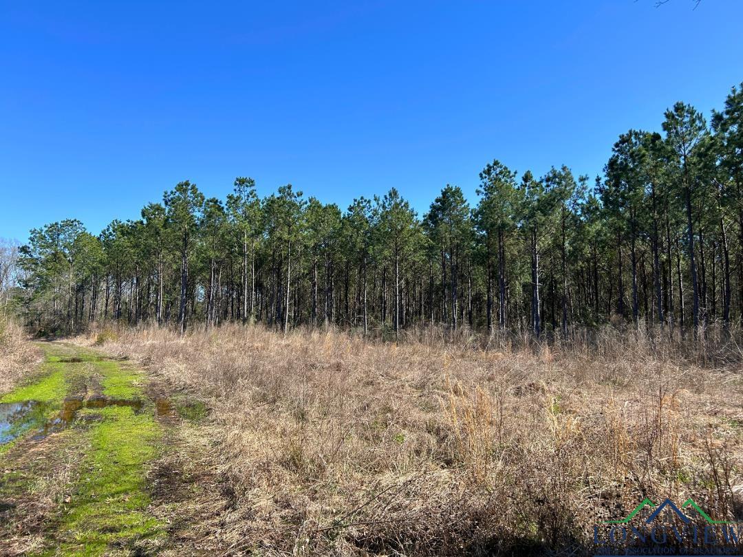TBD S Cr 1453 Dr, Linden, New Mexico image 6