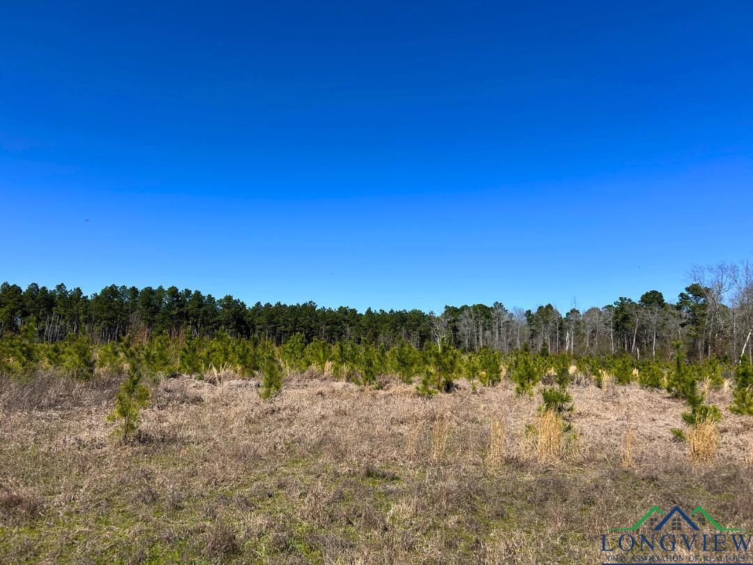 TBD S Cr 1453 Dr, Linden, New Mexico image 7