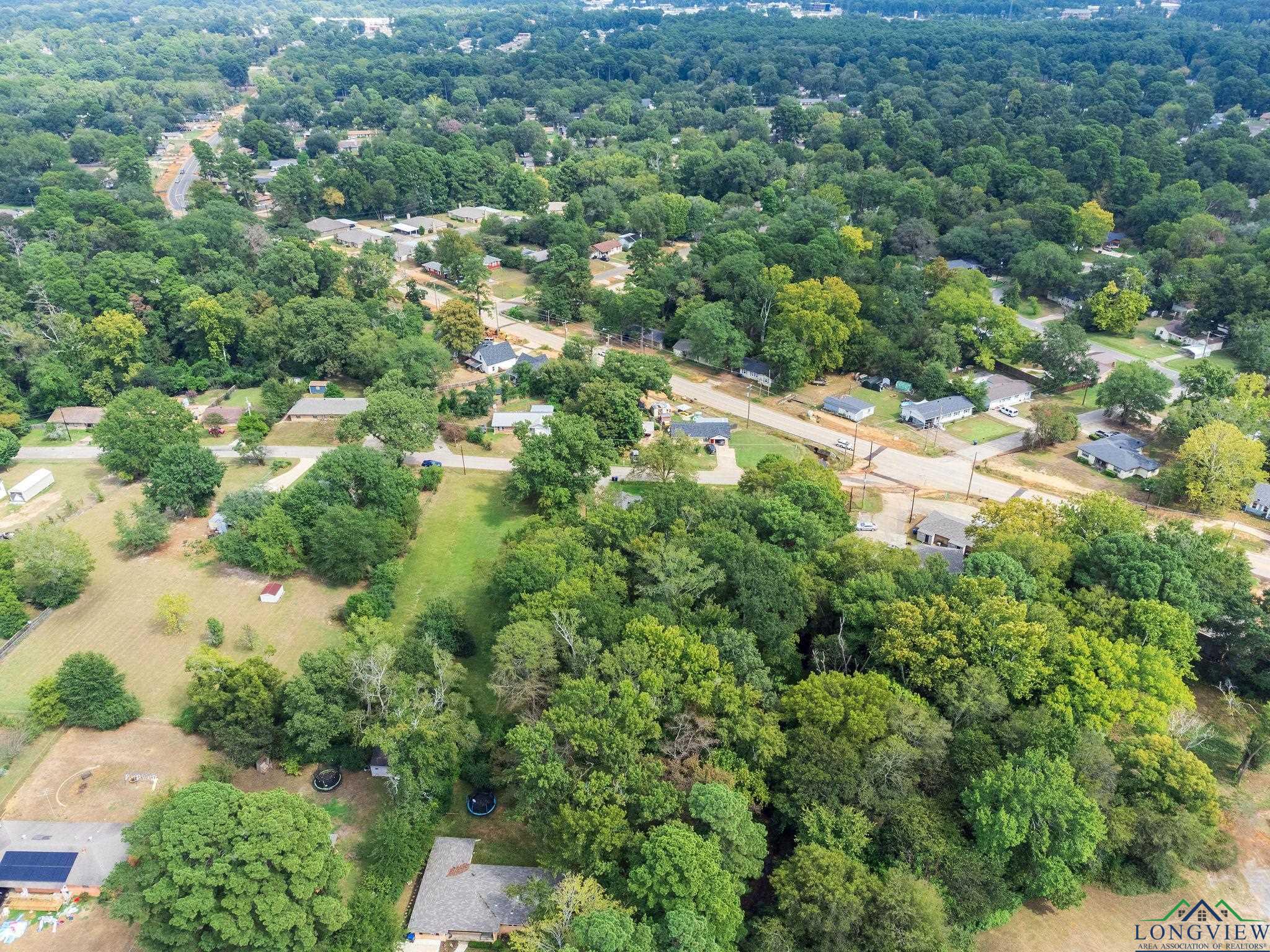 TBD Lot 4 Cr 2204 D & Fm 1797, Tatum, Texas image 10