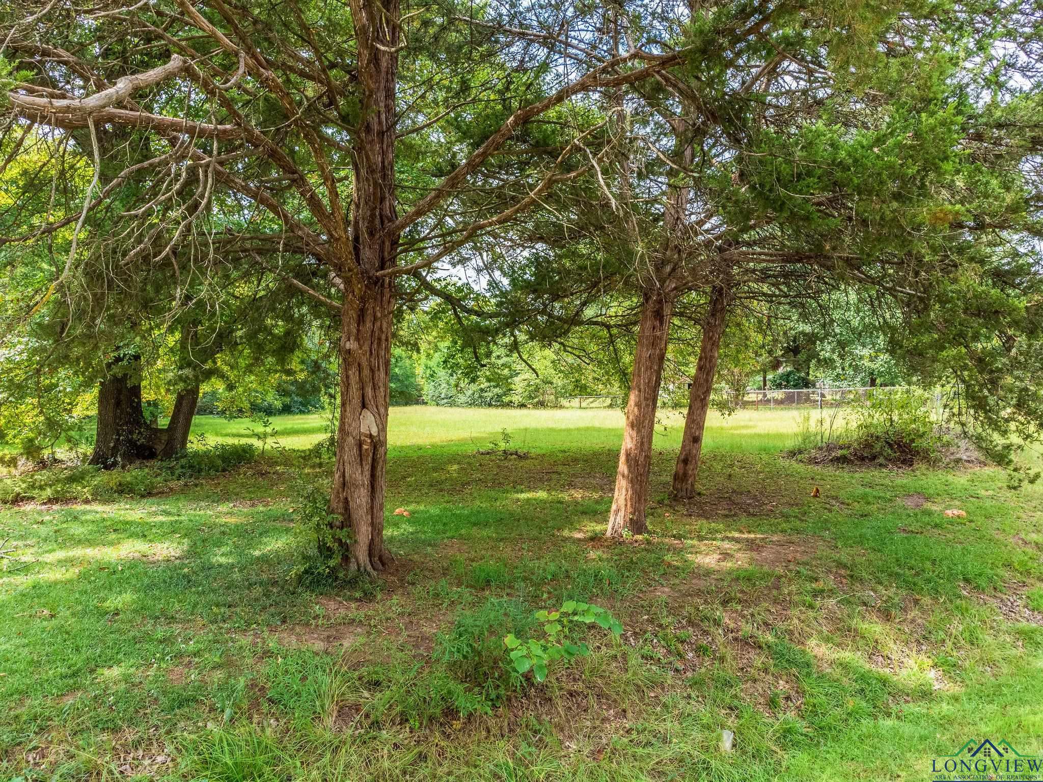 TBD Lot 4 Cr 2204 D & Fm 1797, Tatum, Texas image 15