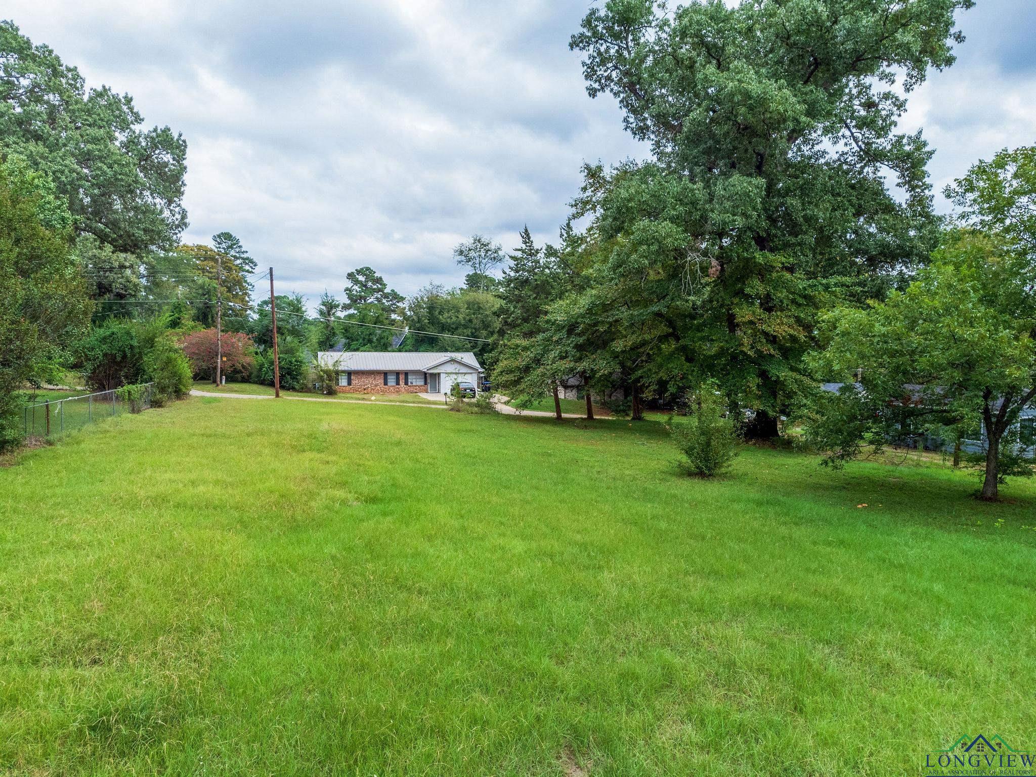 TBD Lot 4 Cr 2204 D & Fm 1797, Tatum, Texas image 19