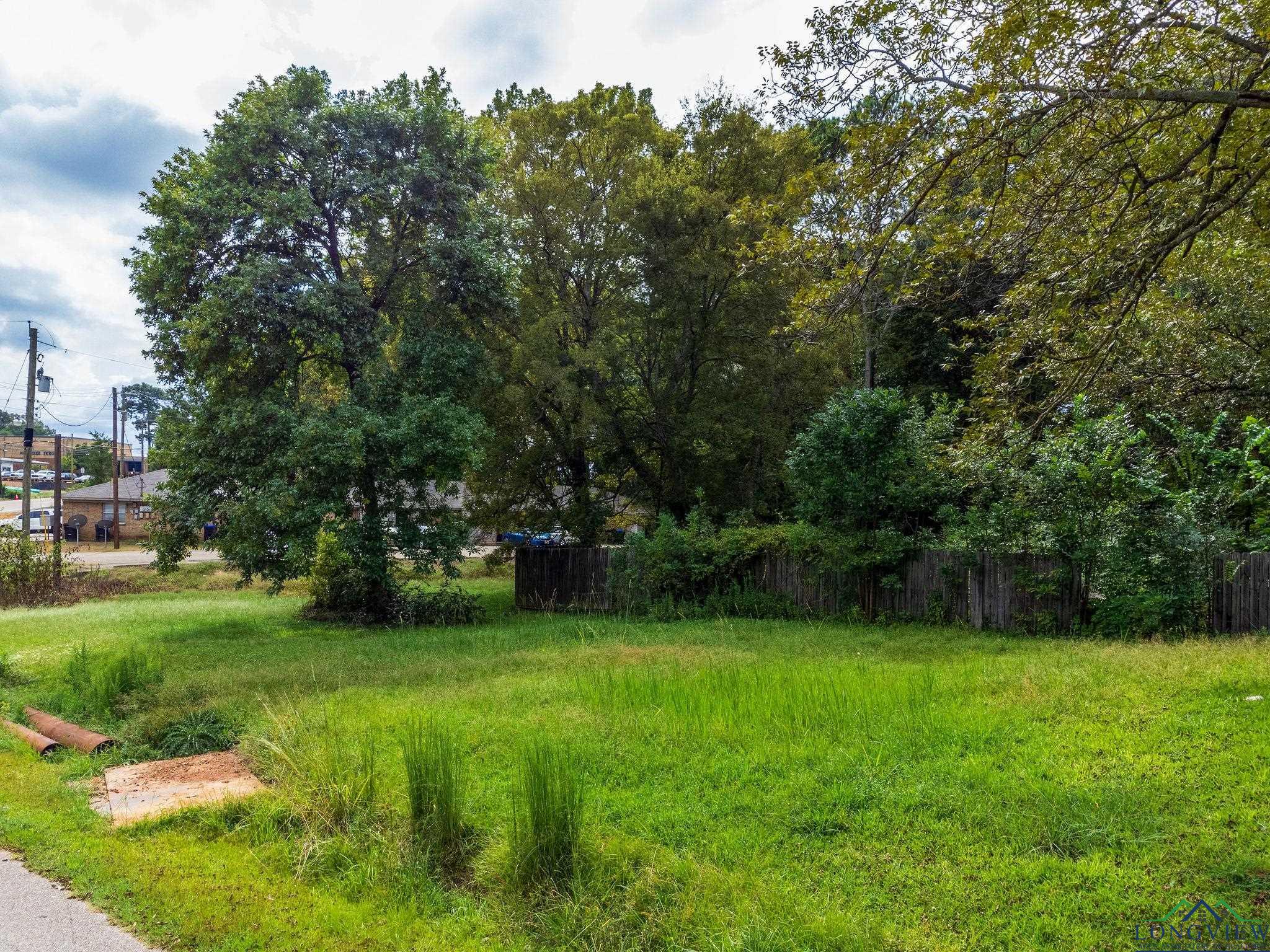 TBD Lot 4 Cr 2204 D & Fm 1797, Tatum, Texas image 16