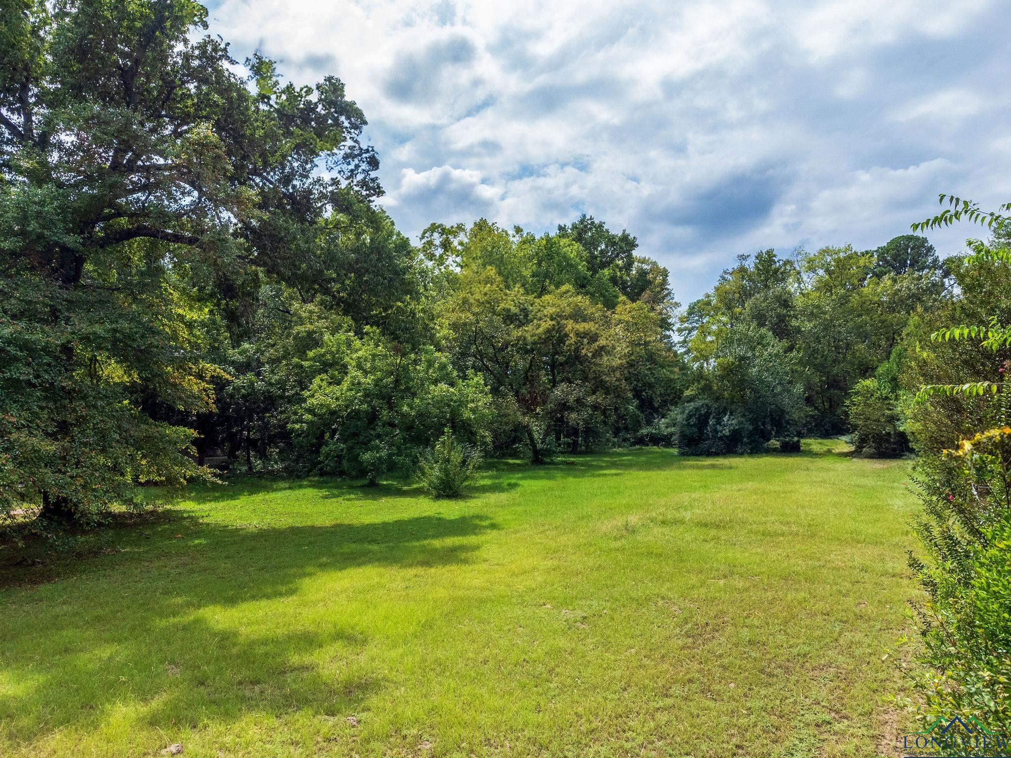 TBD Lot 4 Cr 2204 D & Fm 1797, Tatum, Texas image 14