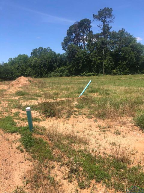 Homes For Sale - TBD Meadow Lane<br/> Morris County, Naples, TX 75668