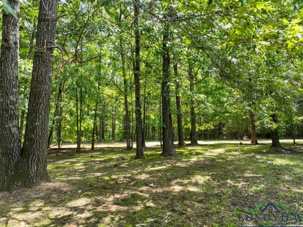 299 Pr 1128, Marshall, Texas image 44